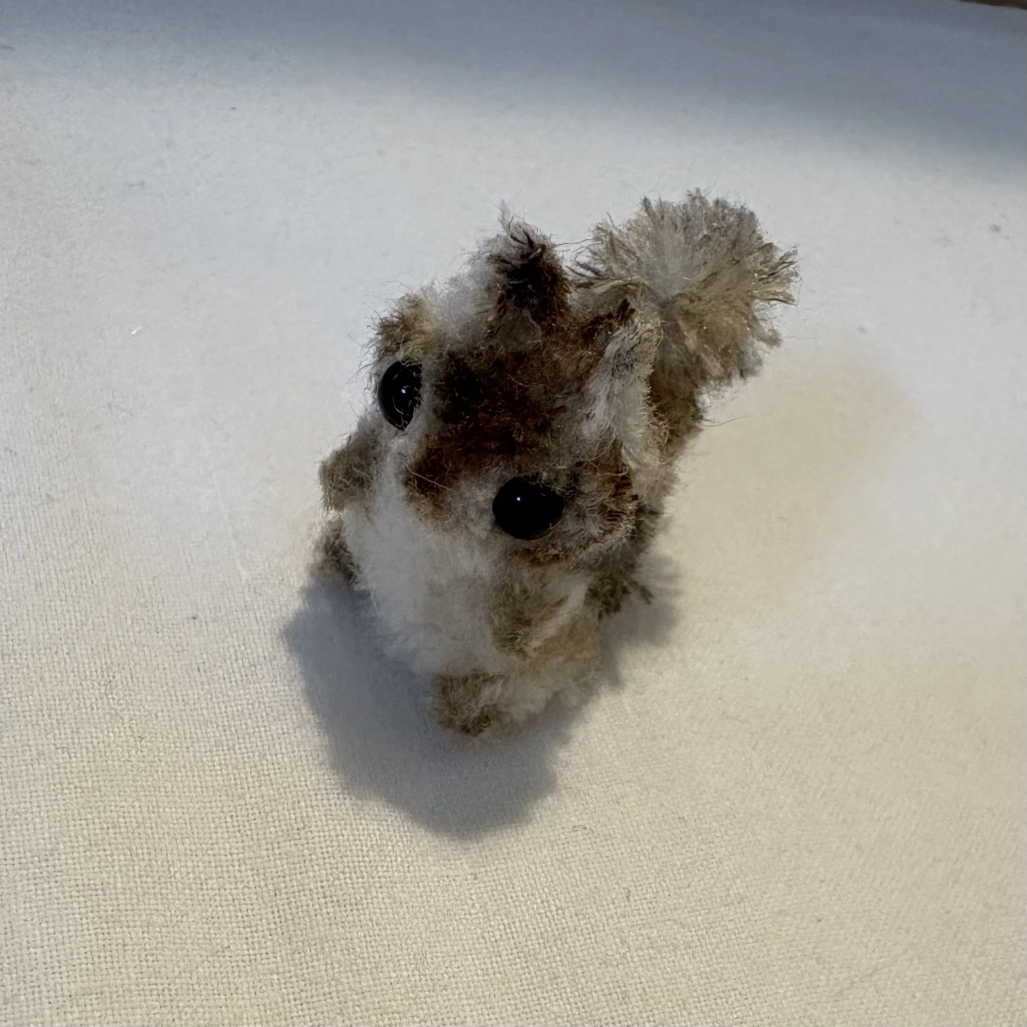 モールリス、改良！｜こつぶ屋ぽぽむん