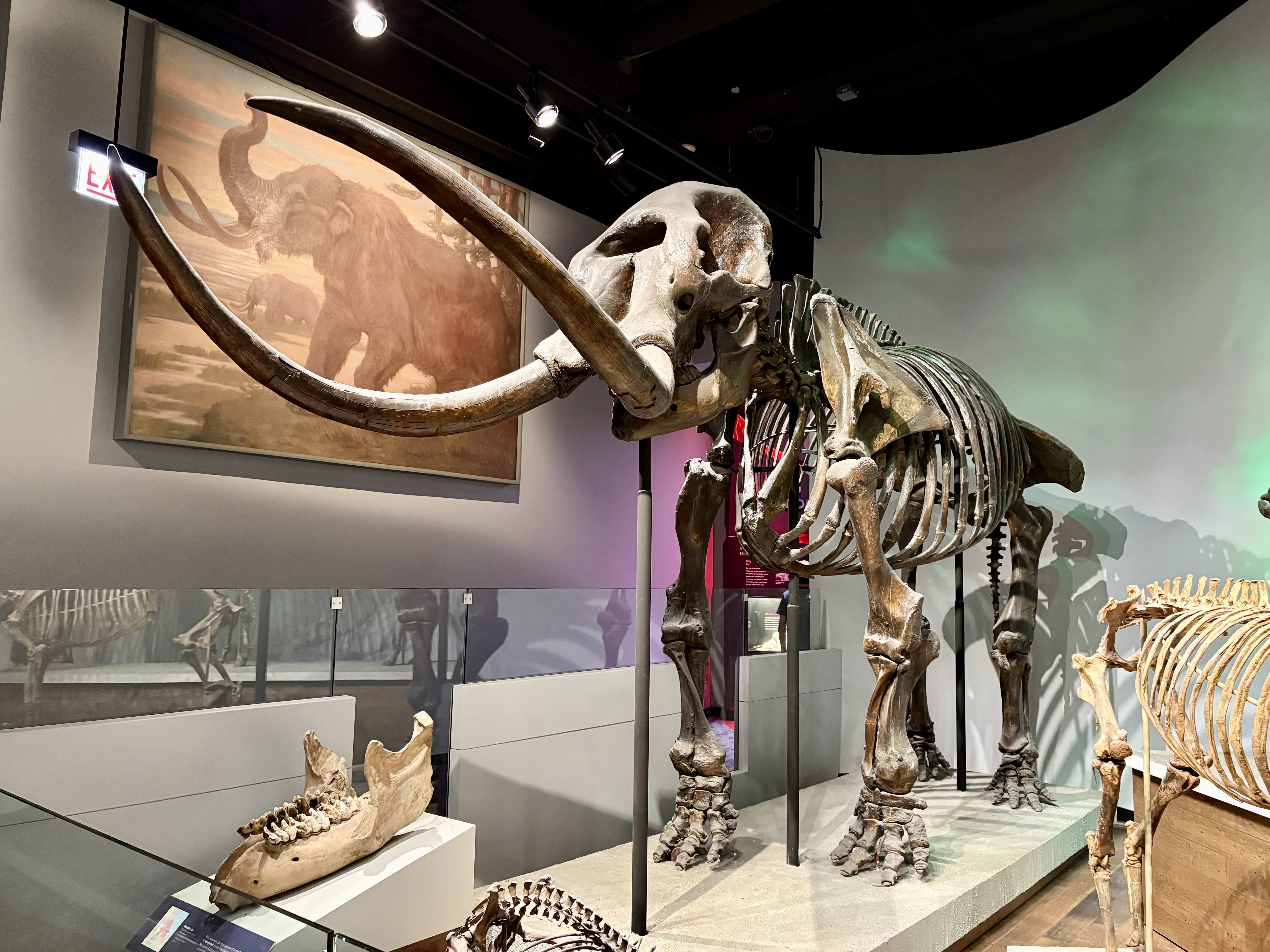 ニューヨーク・シカゴの旅 - その 8-1 （フィールド自然史博物館