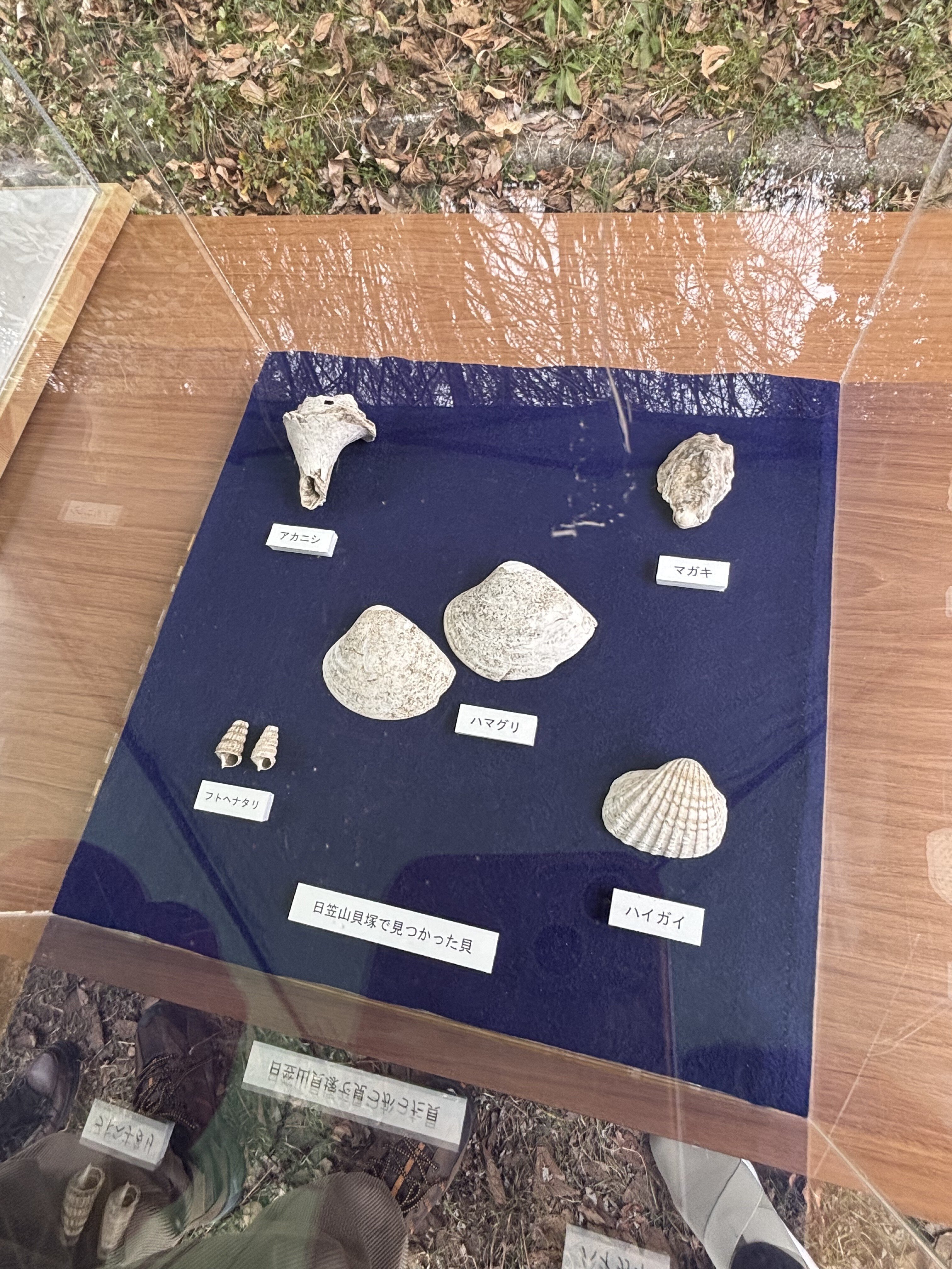 時間を掘るー日笠山貝塚発掘調査現地説明会レポートー｜たかさご文隙舎