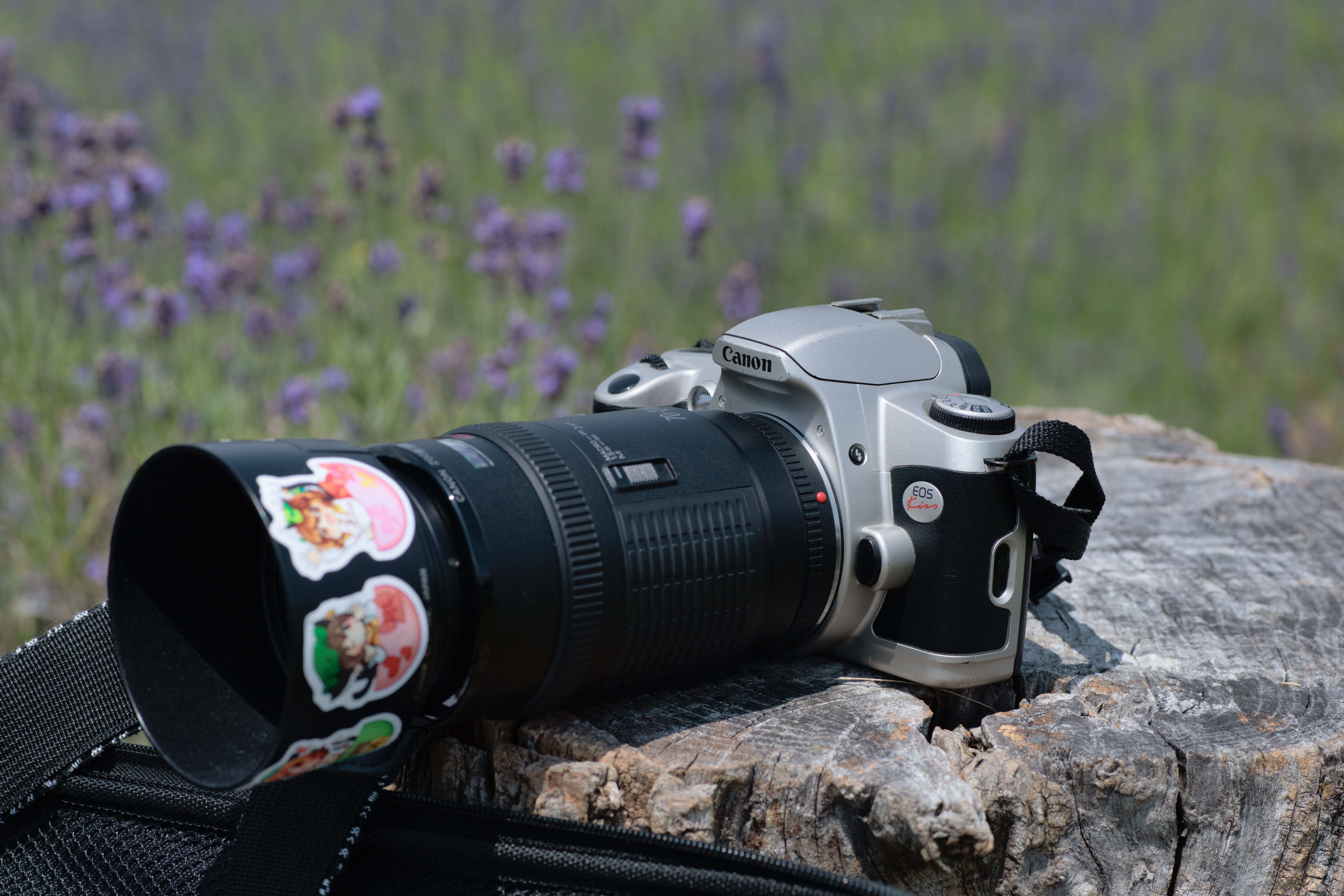 キヤノン　望遠レンズ　EF70-210F4 EF70-210mm f/4 - Canon Camera Museum