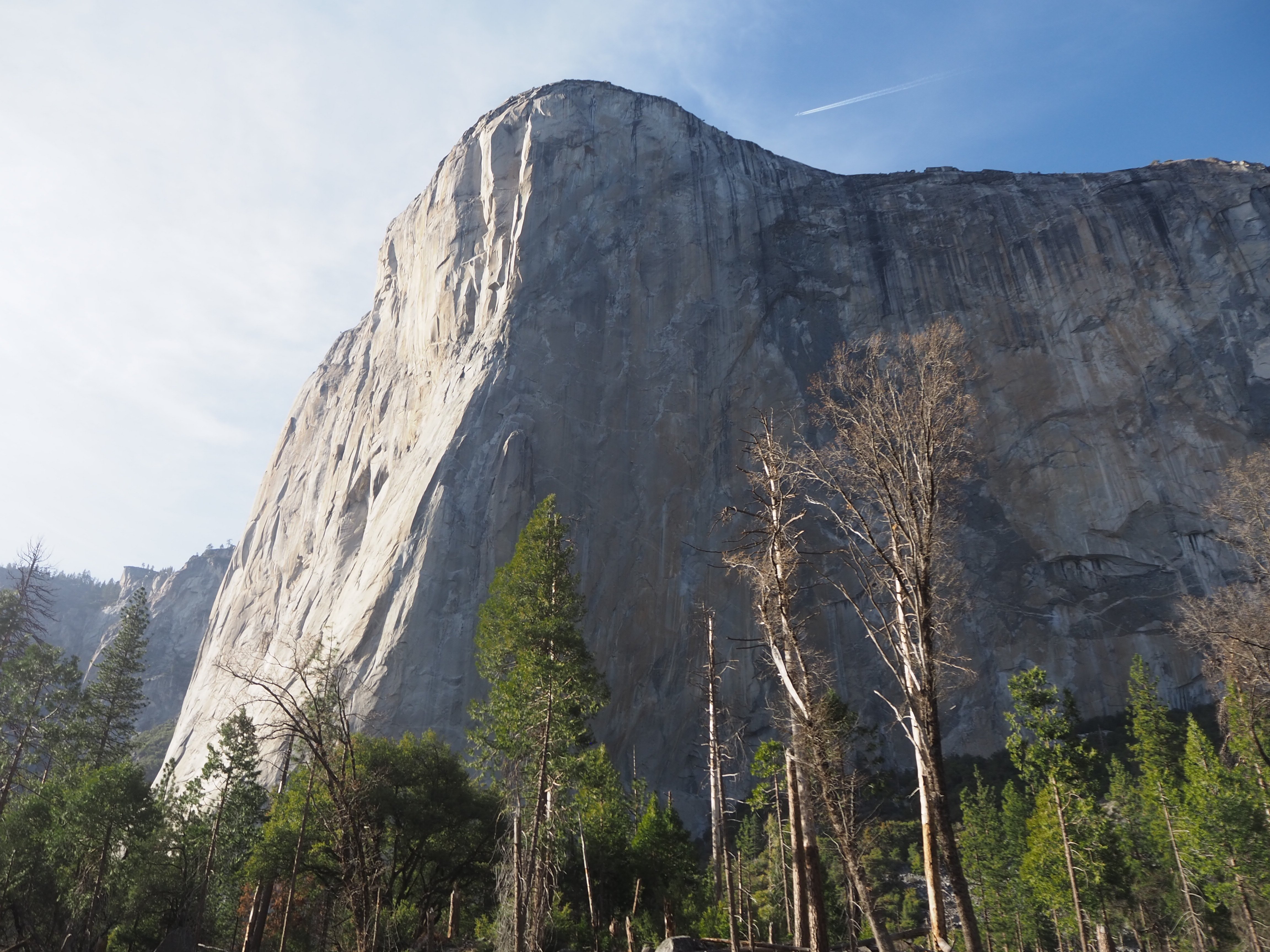アメリカ】カリフォルニアvol.6_ヨセミテ国立公園｜Nodoka