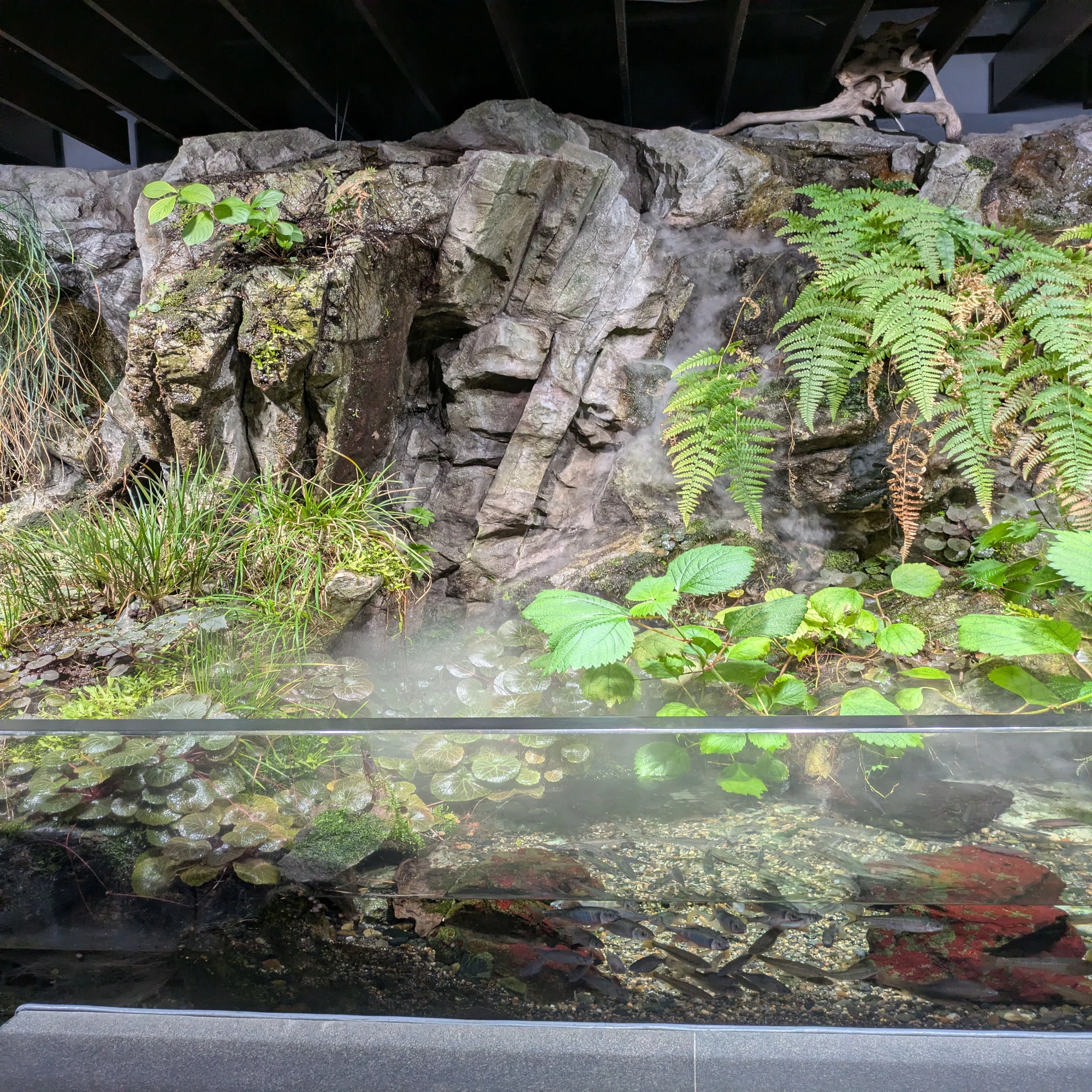 記念メダル】京都市水族館であつめる｜ATUPON