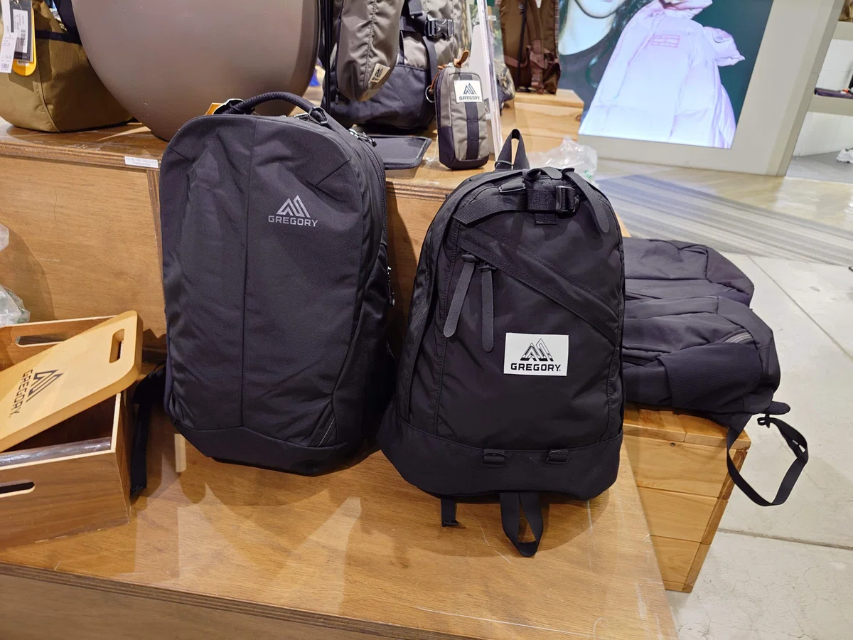 仕事用のリュック難民が、「GREGORY ルーヌEX22 コーデュラバリ 