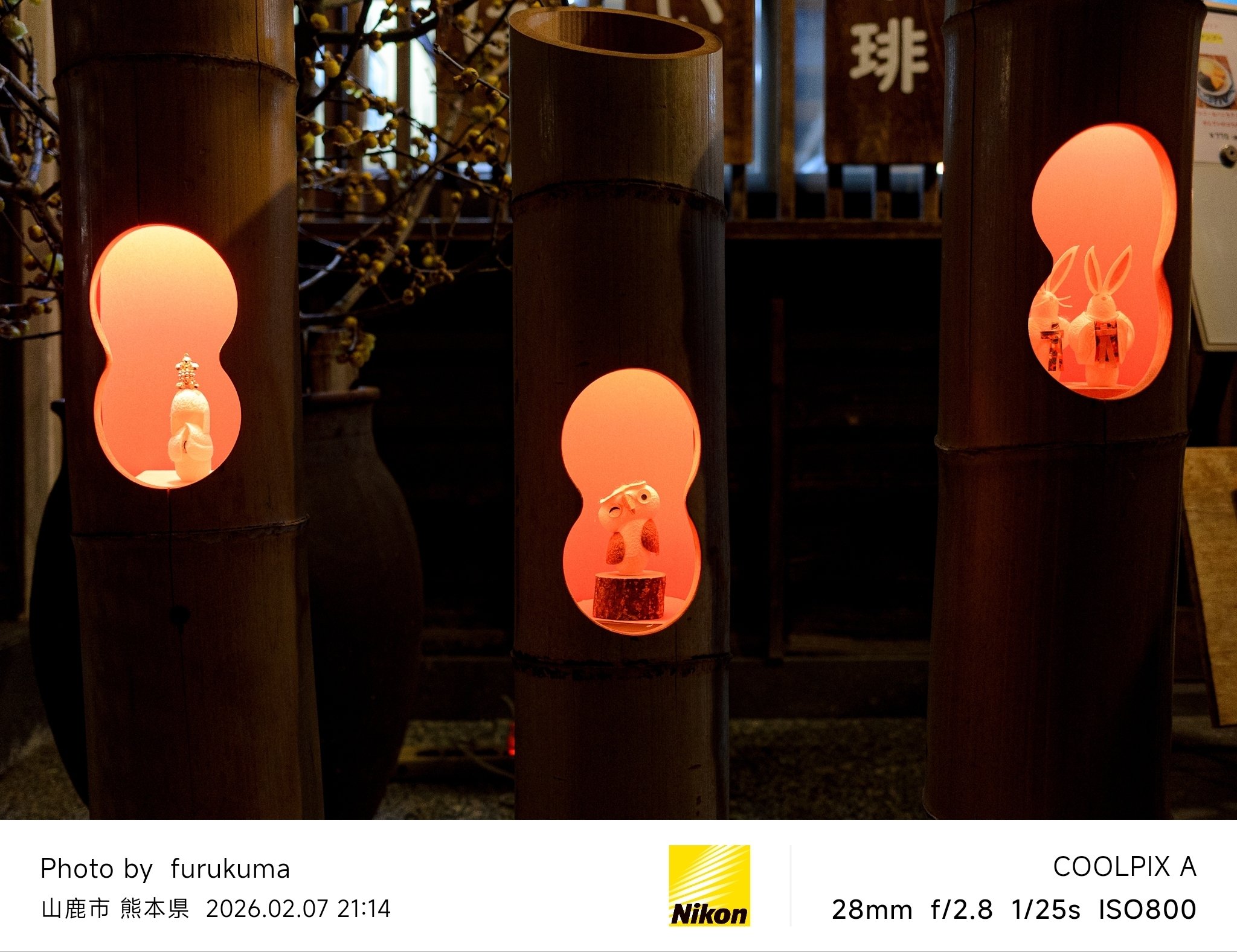 山鹿灯籠浪漫・百華百彩2026 #2 | Nikon COOLPIX A｜furukuma