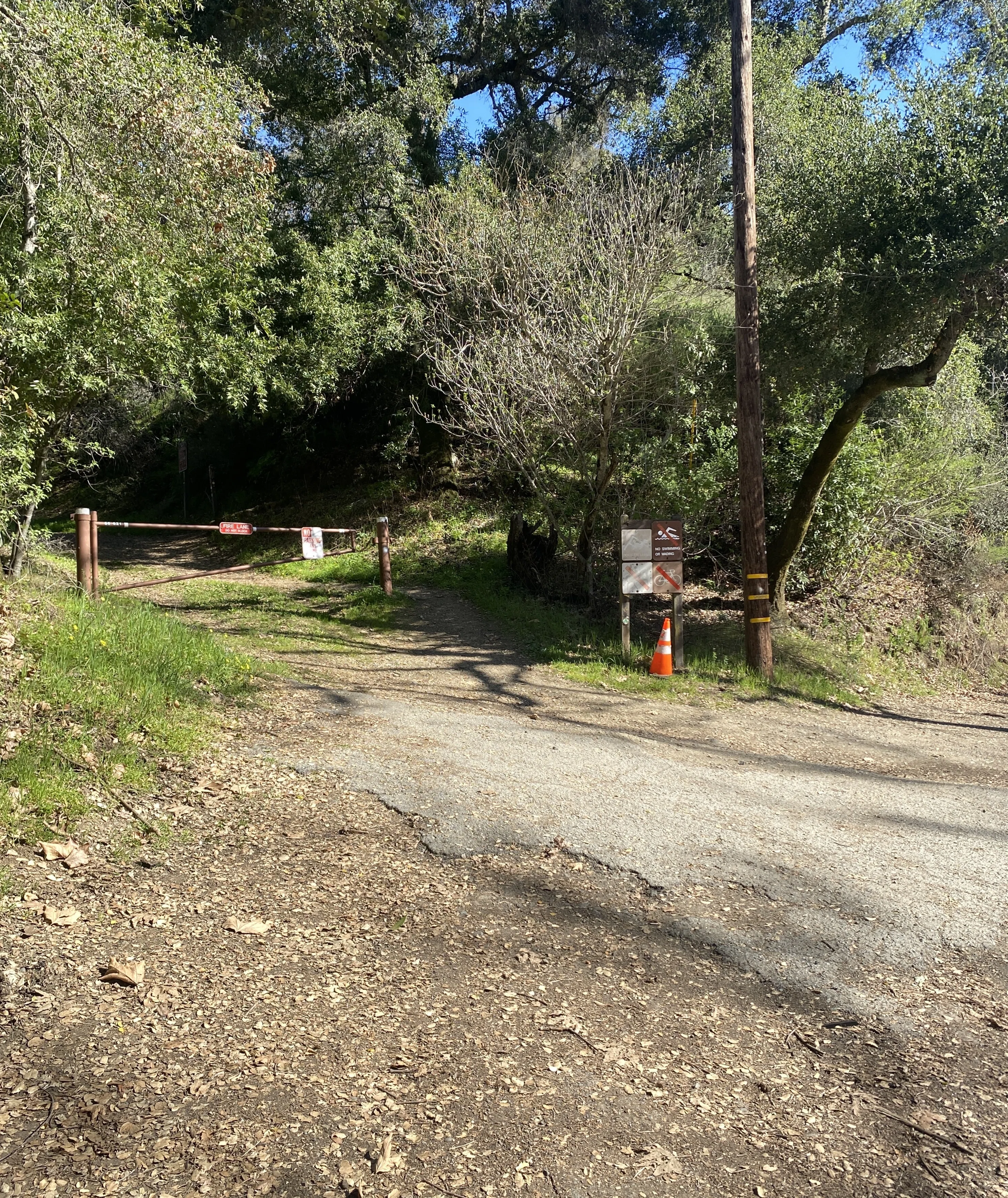 サンノゼの街を一望できる〈Stevens Creek County Park〉でトレイル