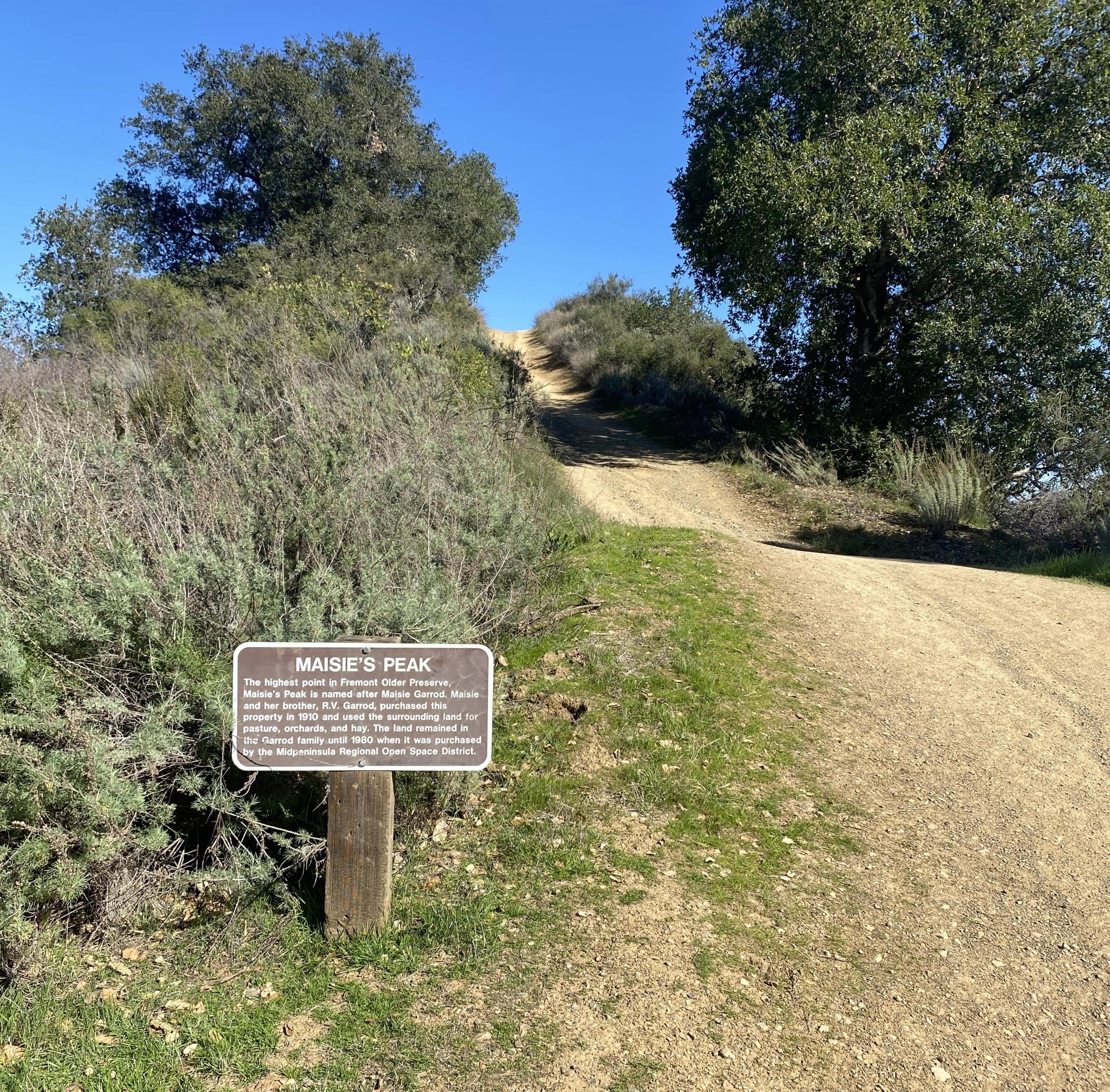 サンノゼの街を一望できる〈Stevens Creek County Park〉でトレイル