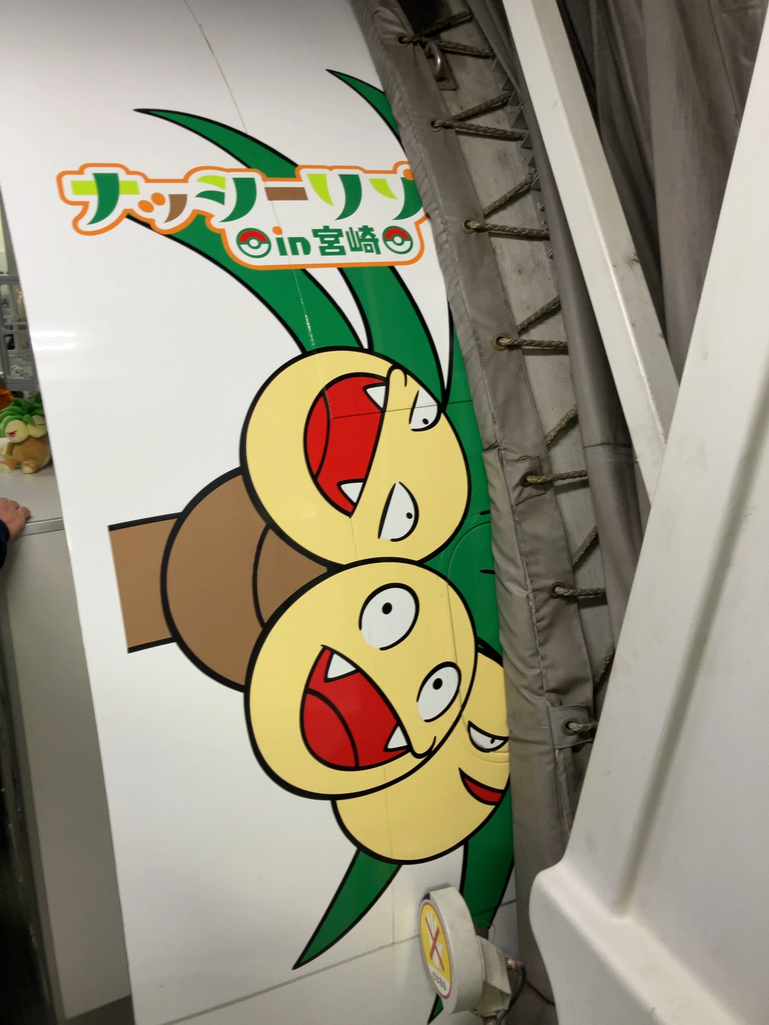 わくわくが止まらない！ソラシドエア「ナッシージェット宮崎」｜【CA