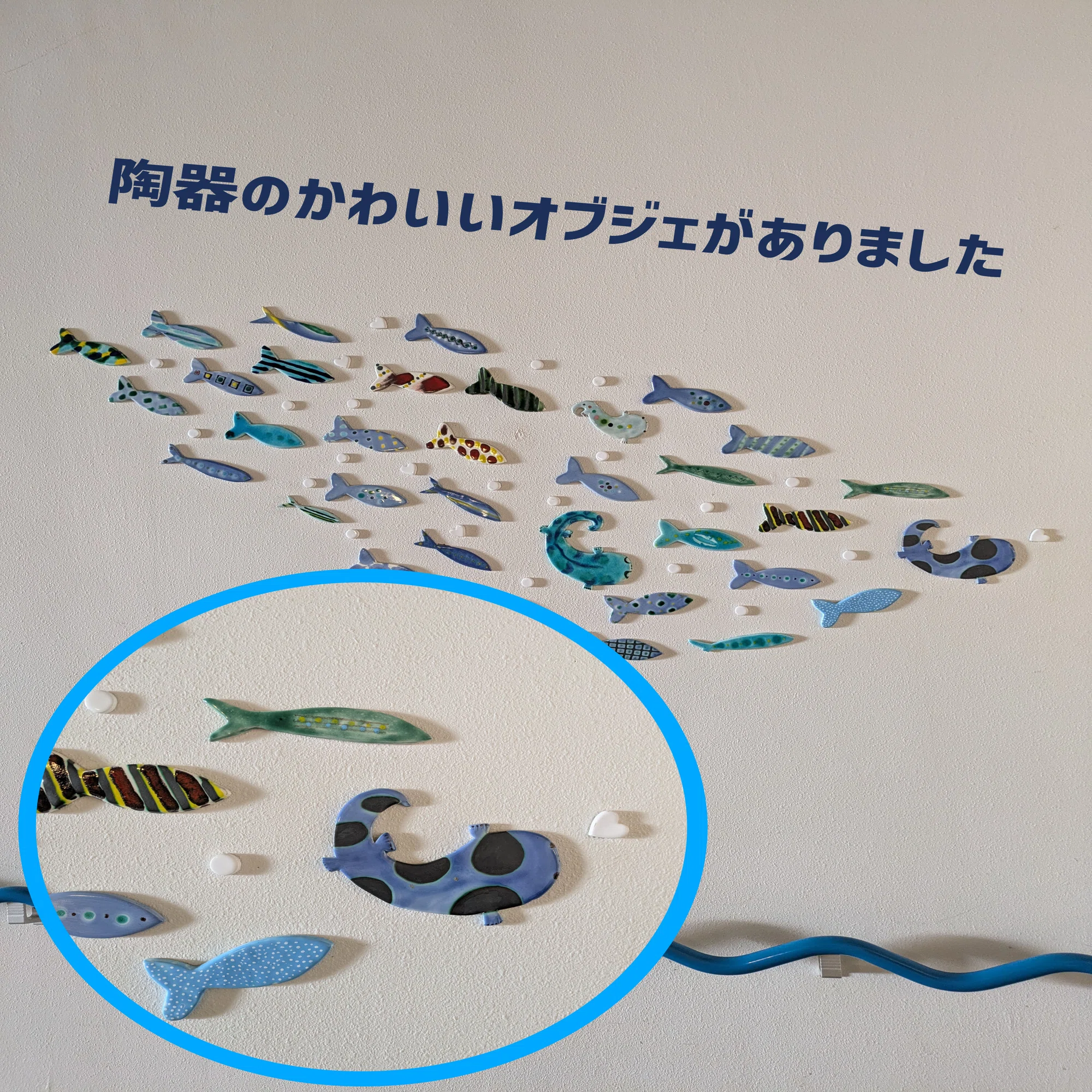記念メダル】京都市水族館であつめる｜ATUPON
