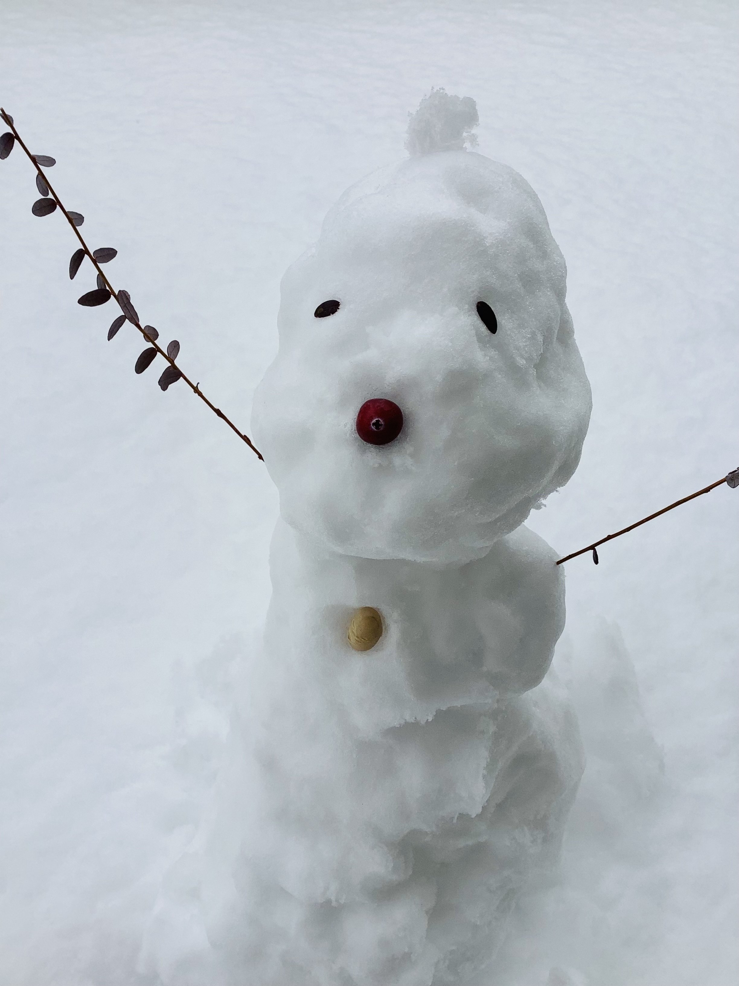 ゆきだるま つくったよぉ♪｜DreamersMarch ドリーマーズ・マーチ