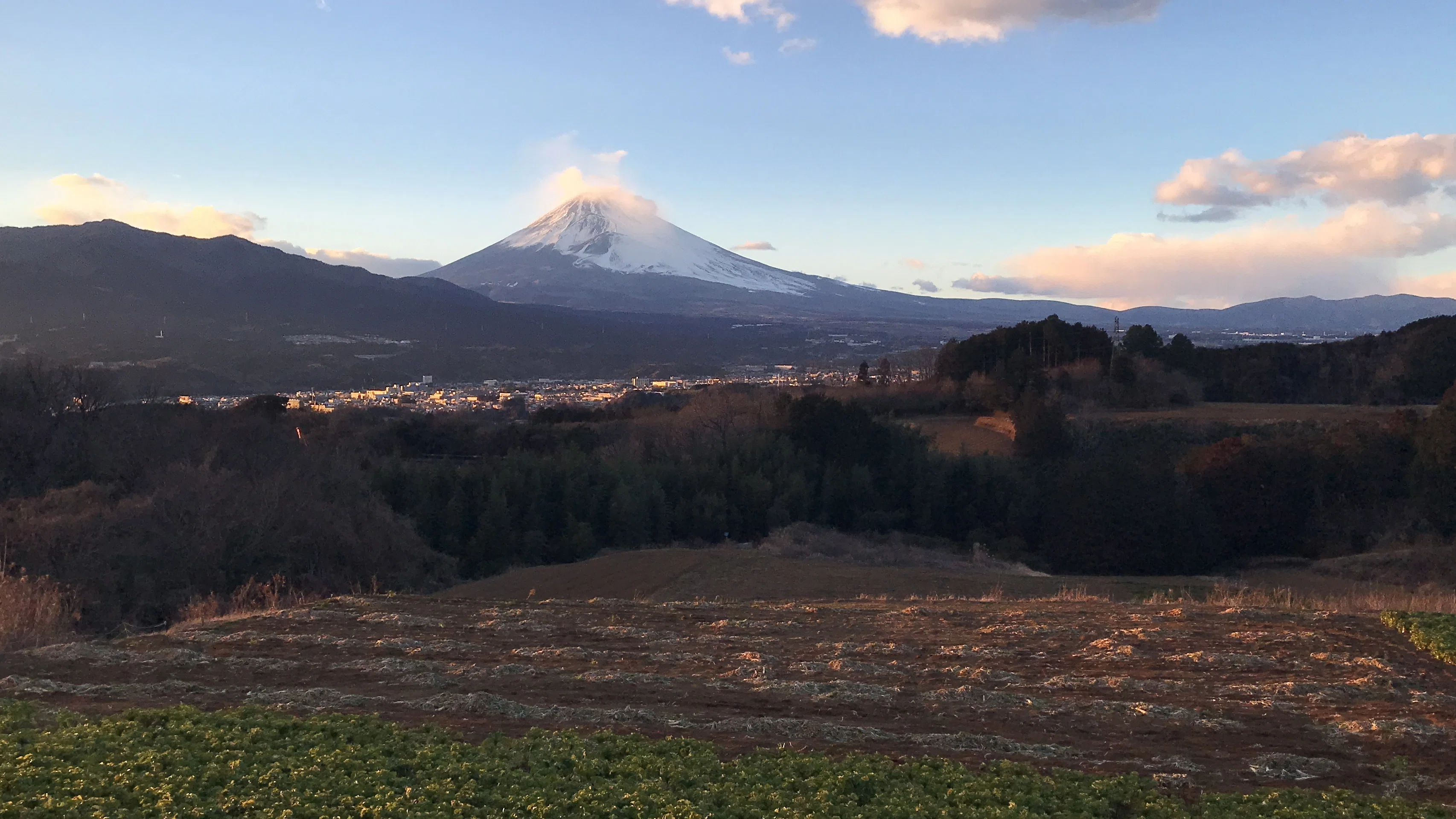 From ducks crossing the road to looking up at Mt. Fuji: 'Mishima's
