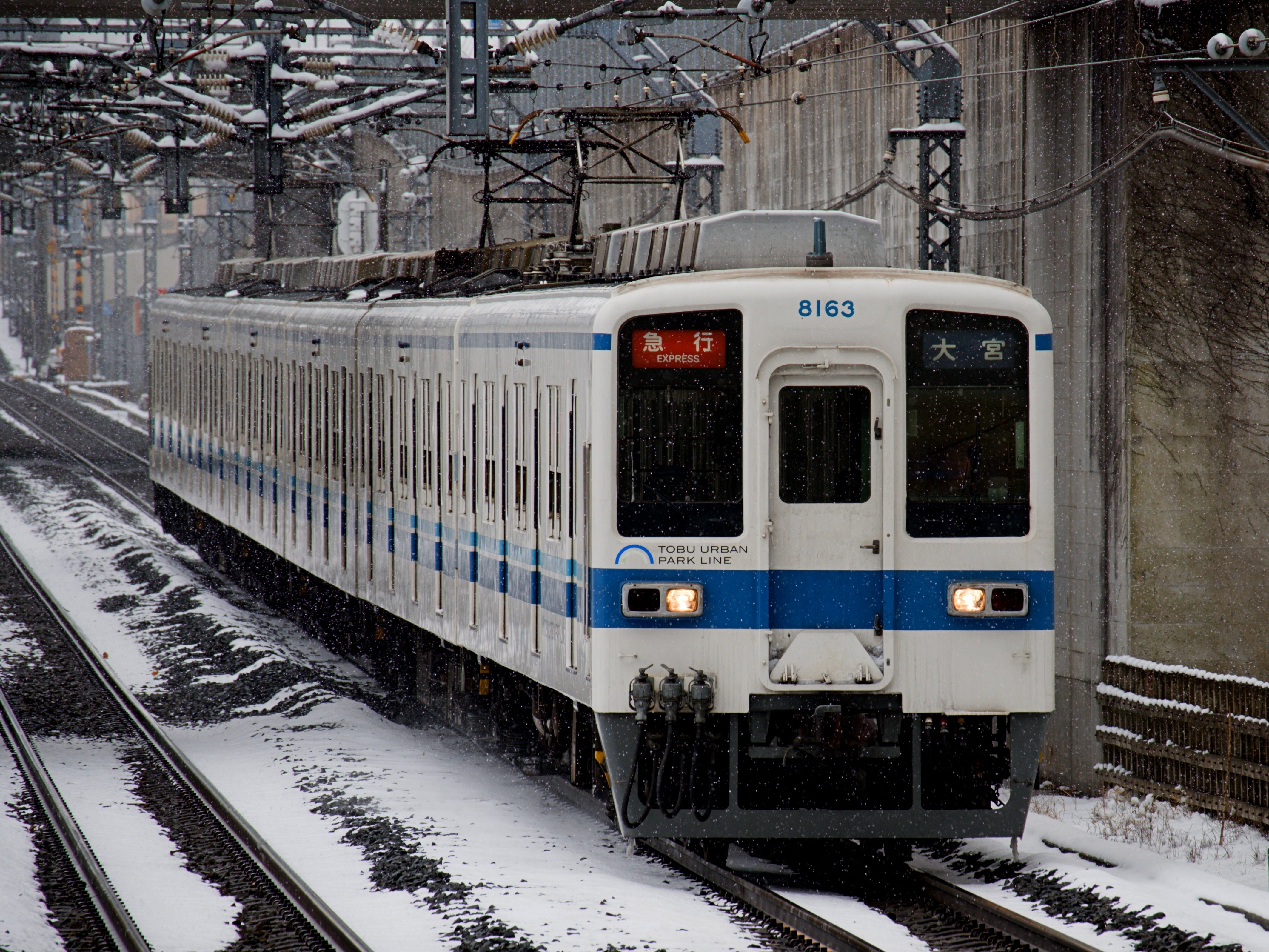 東武野田線 数少ない8000系幕車が雪の中で急行運転！｜隣の芝生は隣の芝生