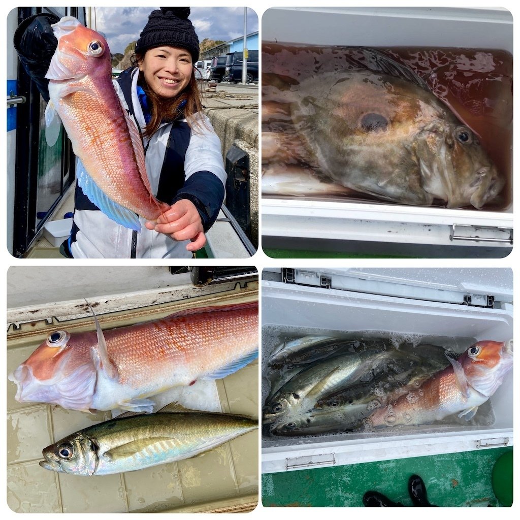 泳がせ】マトウダイ、ヒラメが掛かる。デカアジが連発の1日【甘鯛