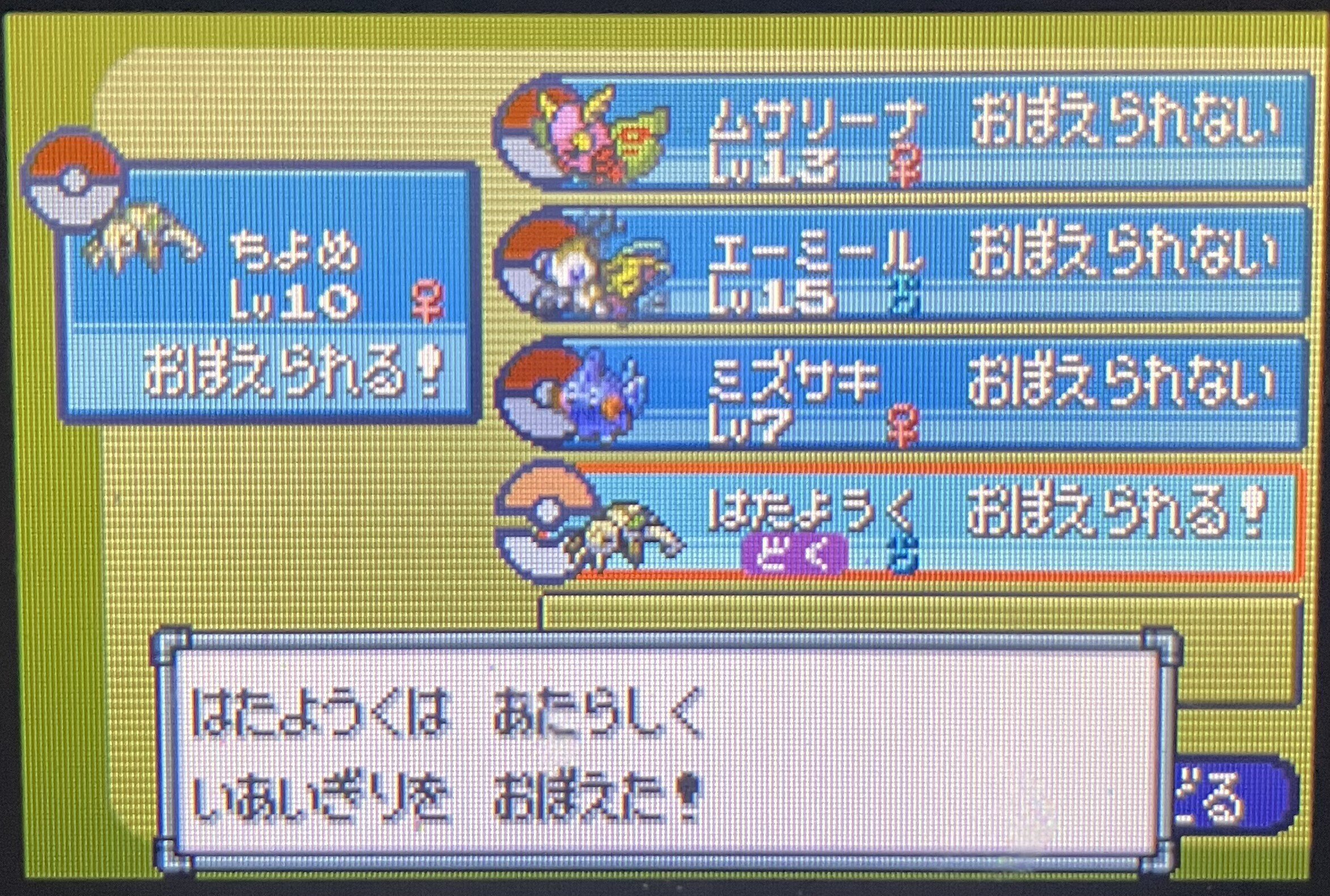 ポケモンエメラルドを、語りながら虫統一でクリアする(第3回)｜エスコバー