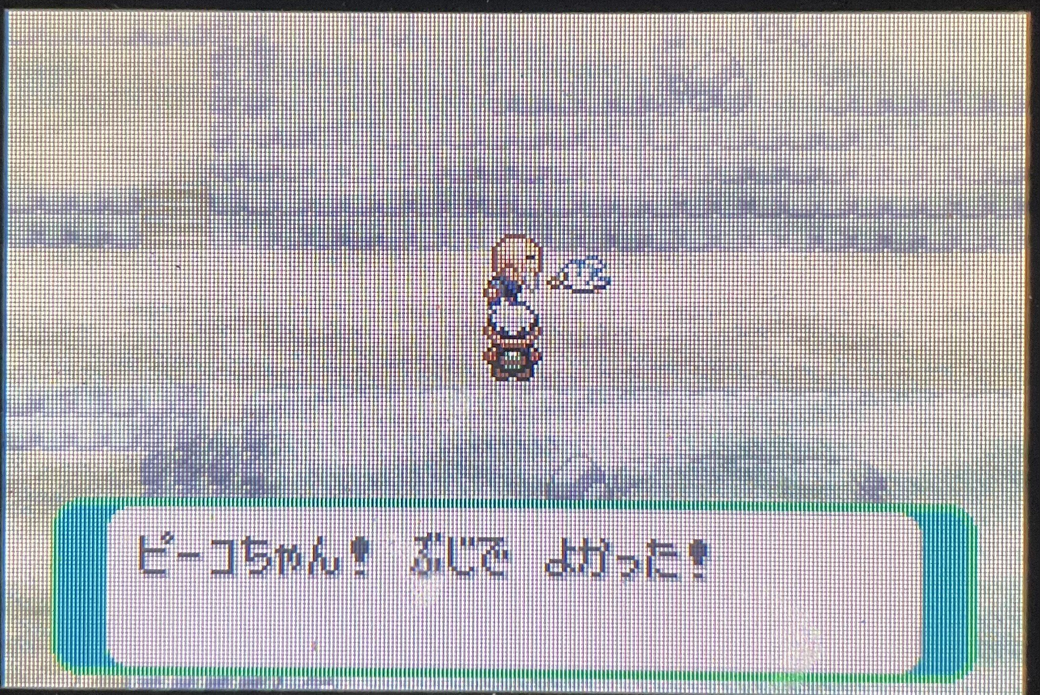 ポケモンエメラルドを、語りながら虫統一でクリアする(第3回)｜エスコバー