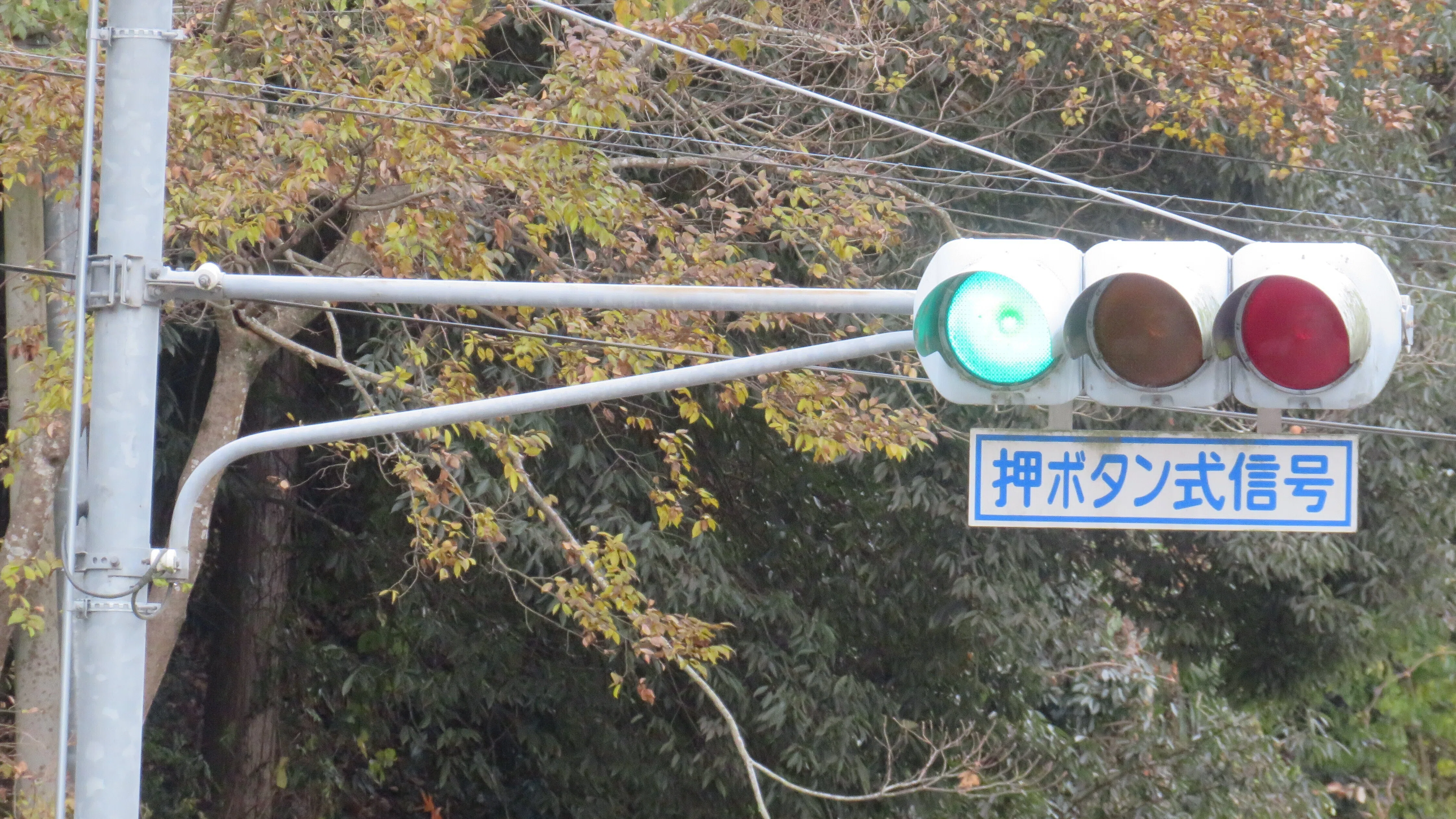令和8(2026)年度工事予定【2186】錦中学校入口【山口県の信号機】｜るーと
