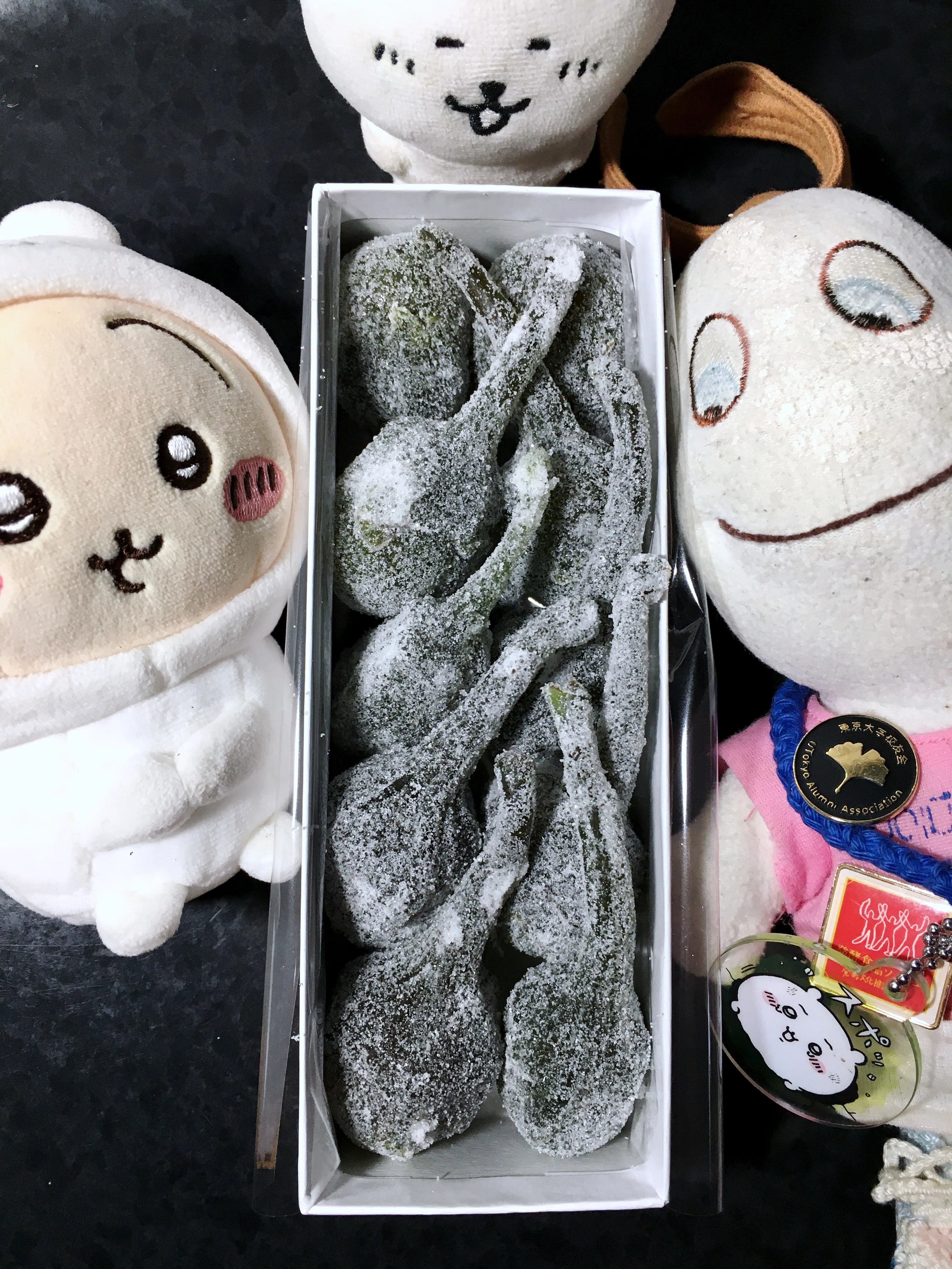 初なすび 大松屋本家 山形県鶴岡市 和菓子なスクチャイ221 2026.01.27