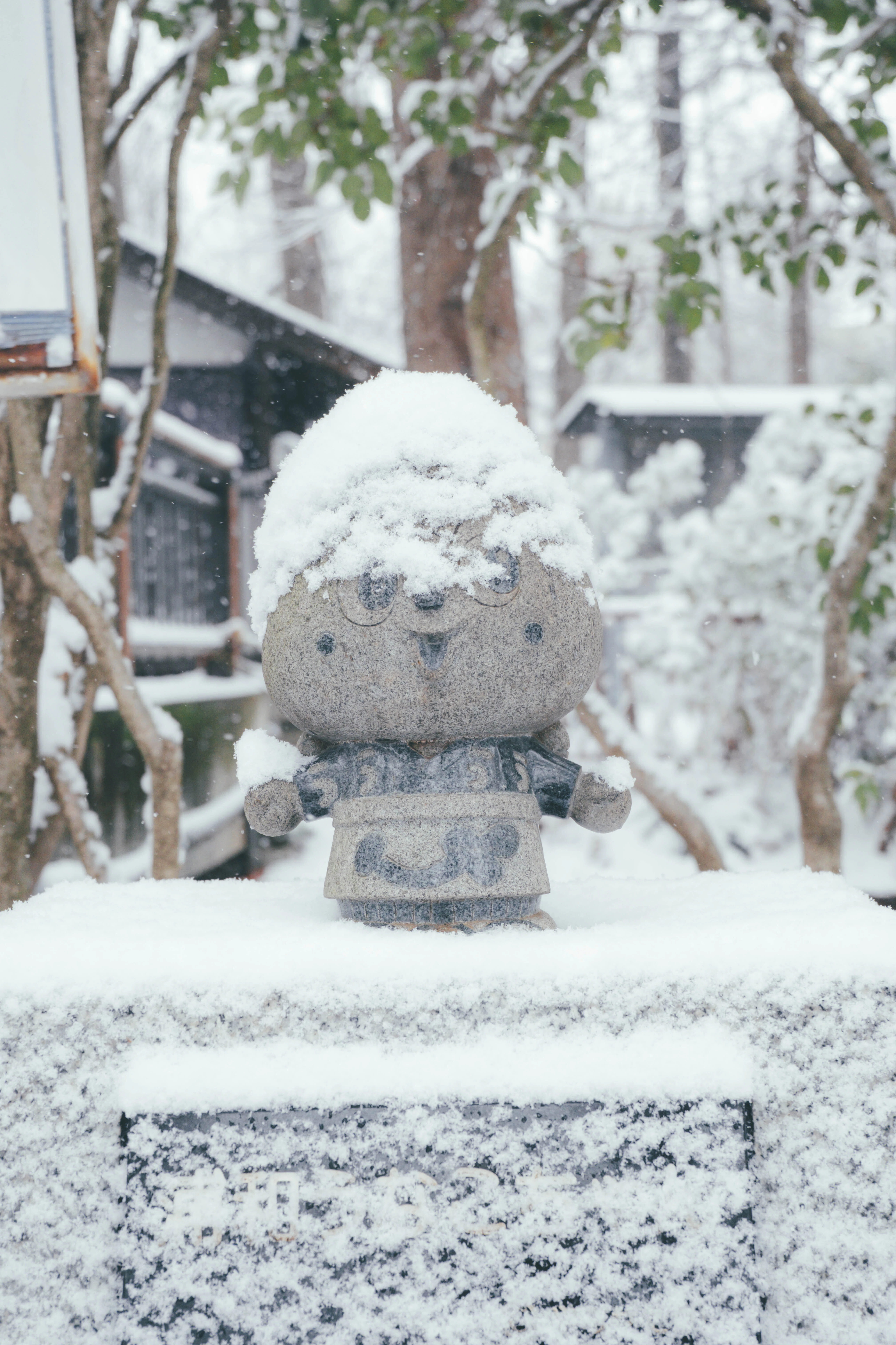 雪の別所沼公園フォトウォーク。X-T5と新レンズで撮る、白銀の世界と