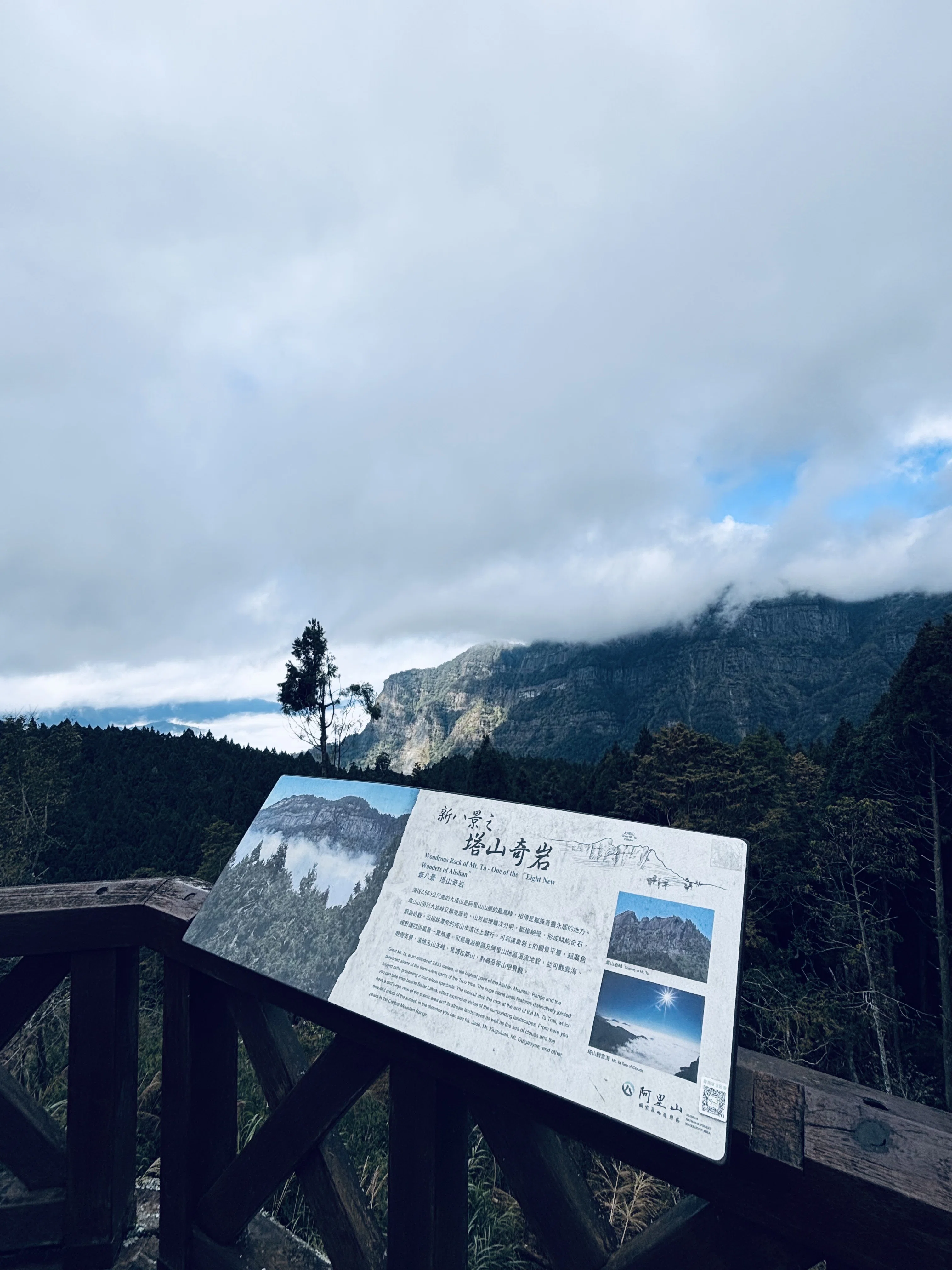 🇹🇼台湾④（阿里山）｜レトロ高山鉄道＆日の出＆雲海満喫旅