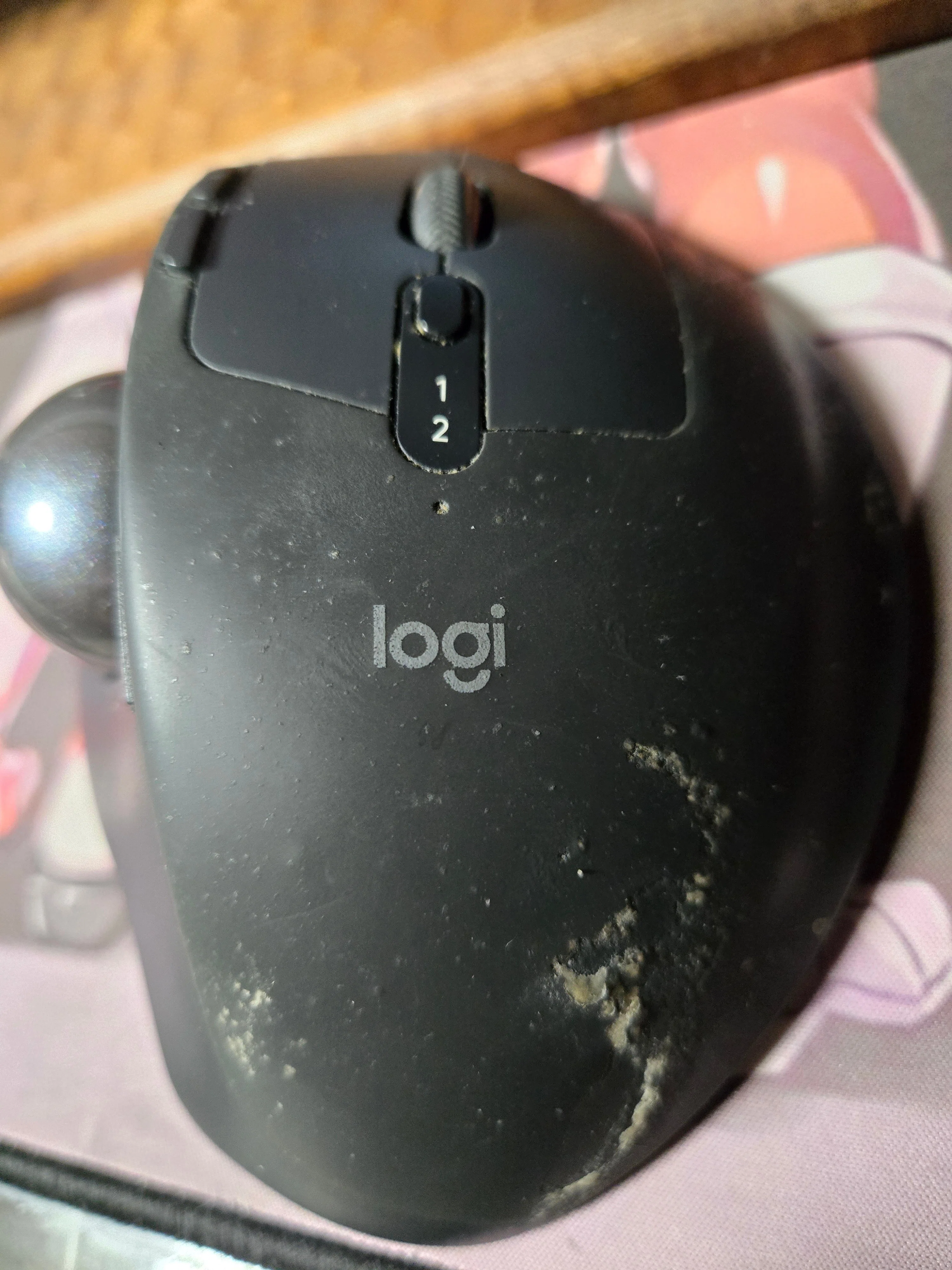 MX ERGO新型導入｜ようちゃん(たなよう)