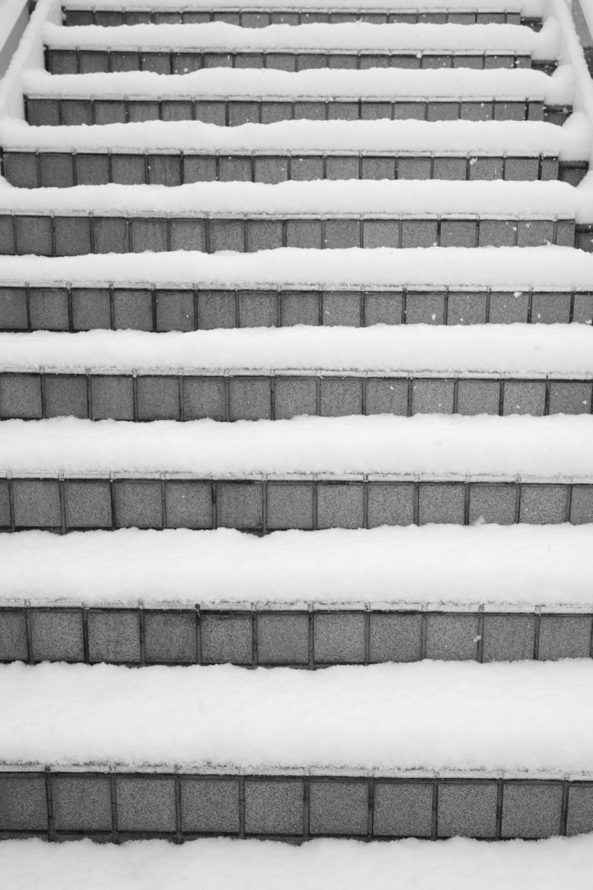 雪の横浜｜Futatabi