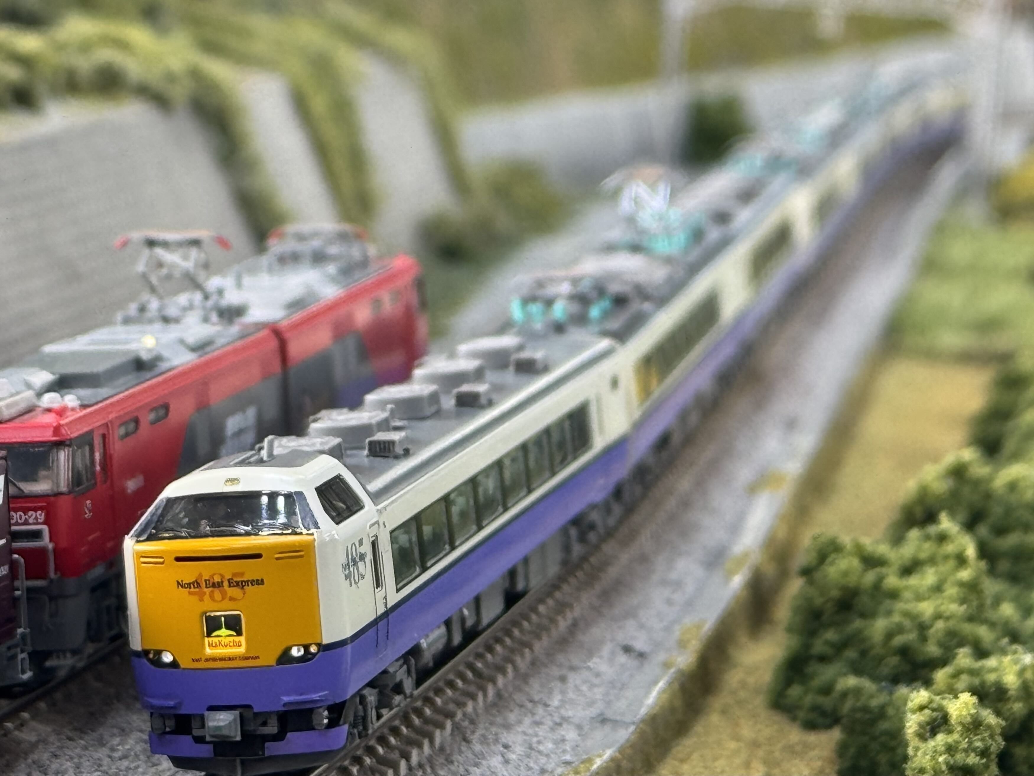 白鳥485系3000番台 多客期編成（2010年代）を組む｜こもももももも