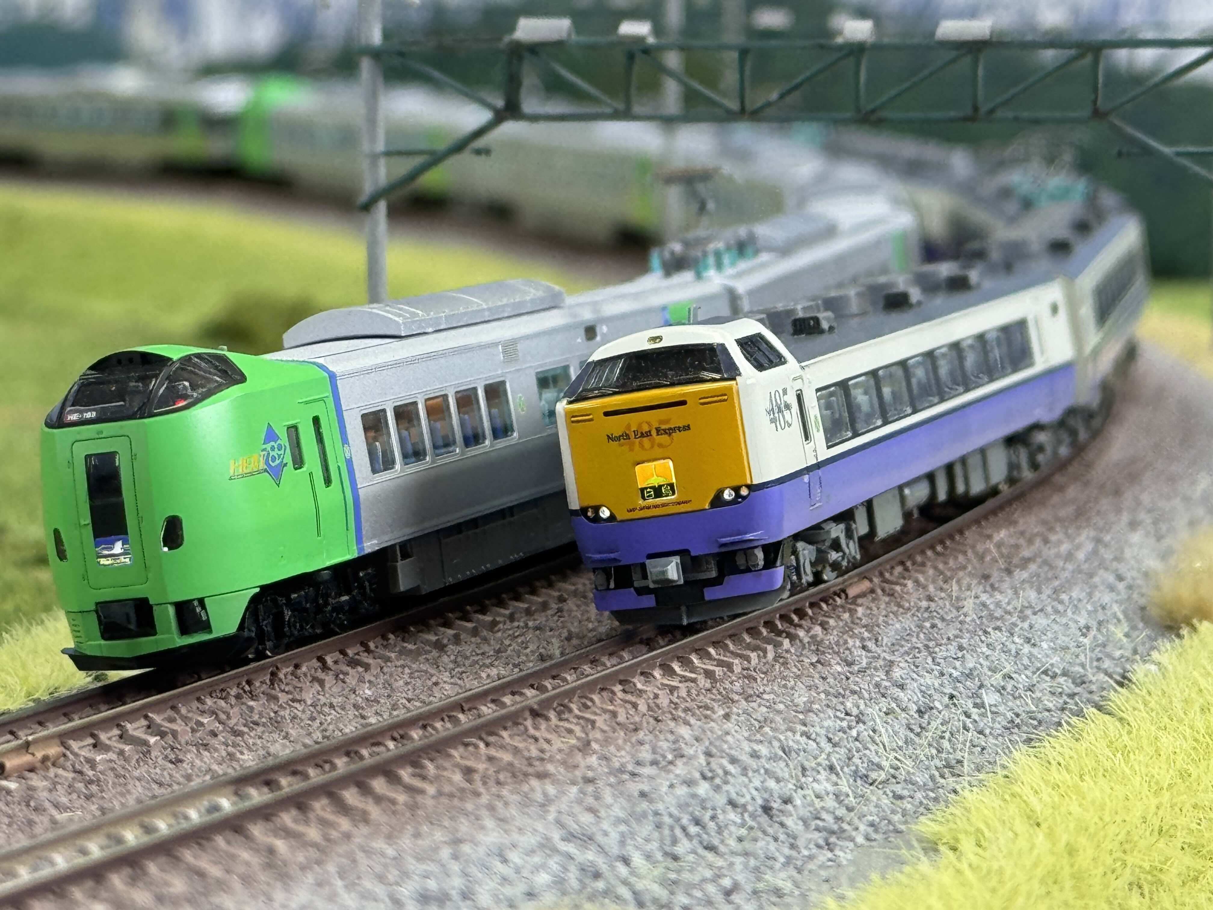 白鳥485系3000番台 多客期編成（2010年代）を組む｜こもももももも