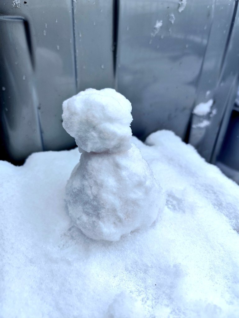 初雪☃️｜minto.