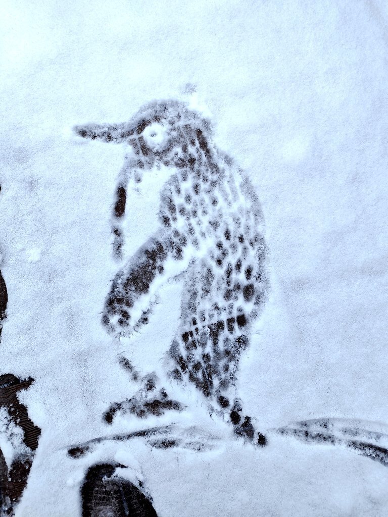 初雪☃️｜minto.