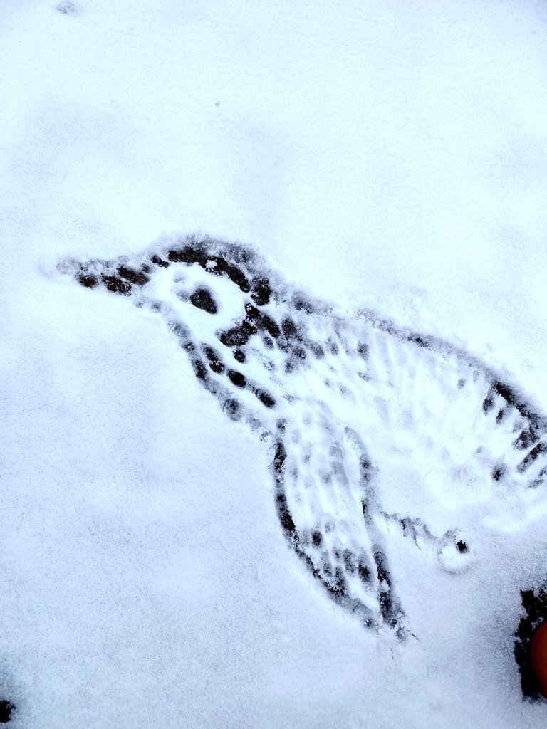 初雪☃️｜minto.