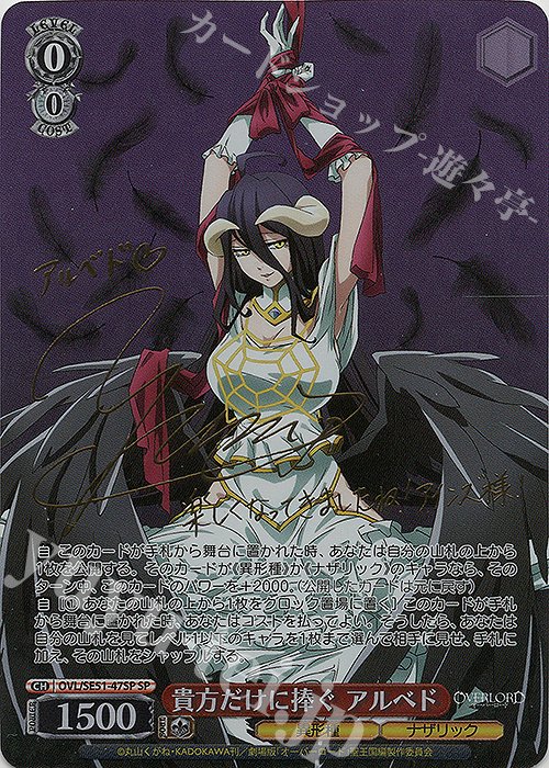 ヴァイスシュヴァルツ——8電源オーバーロード/八開雅兒貝德｜柴