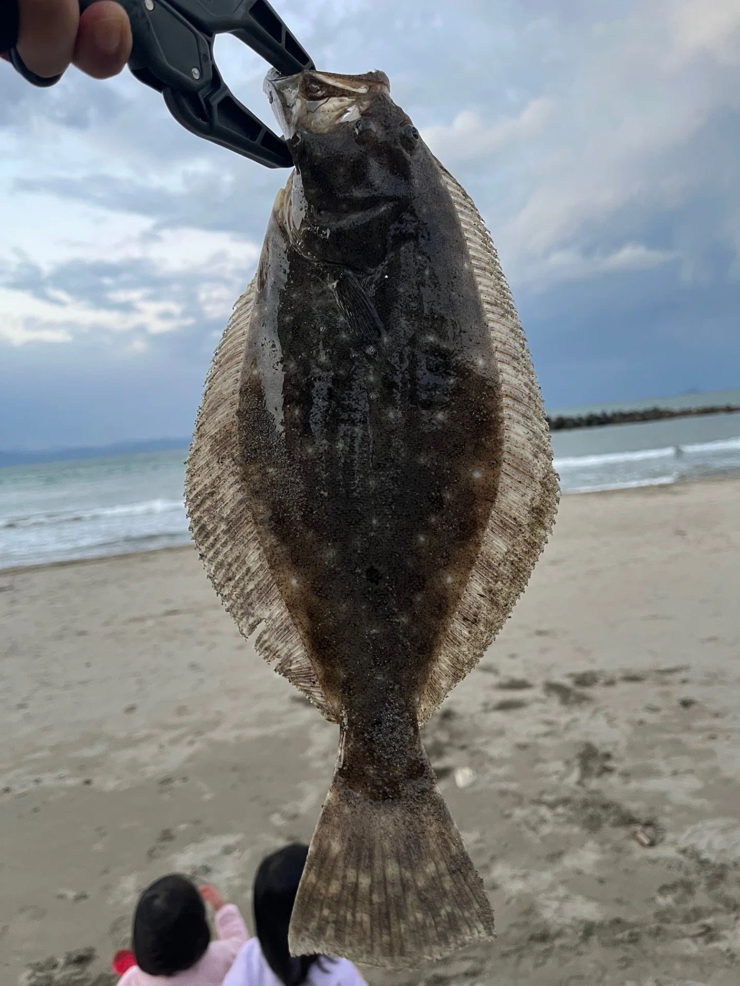 動画あり】サーフでヒラメ（43cm）。ショアジギ4回目、切れ藻みたいに