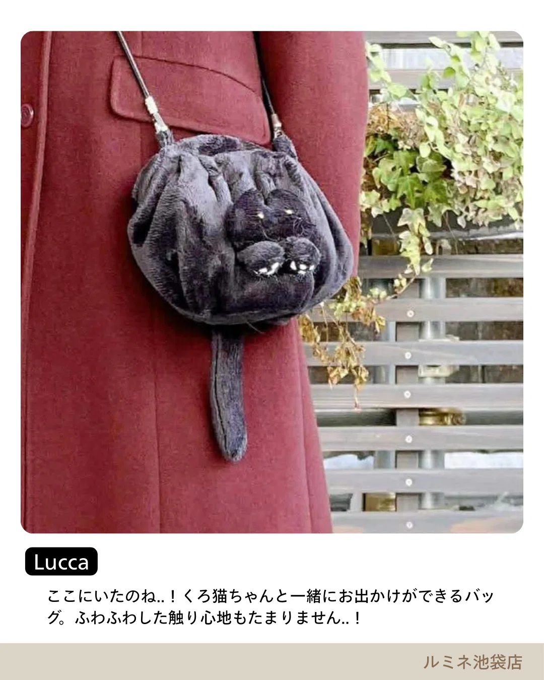 2/22(日)は「ねこの日」 コトモノマルシェで見つけた可愛いネコたち