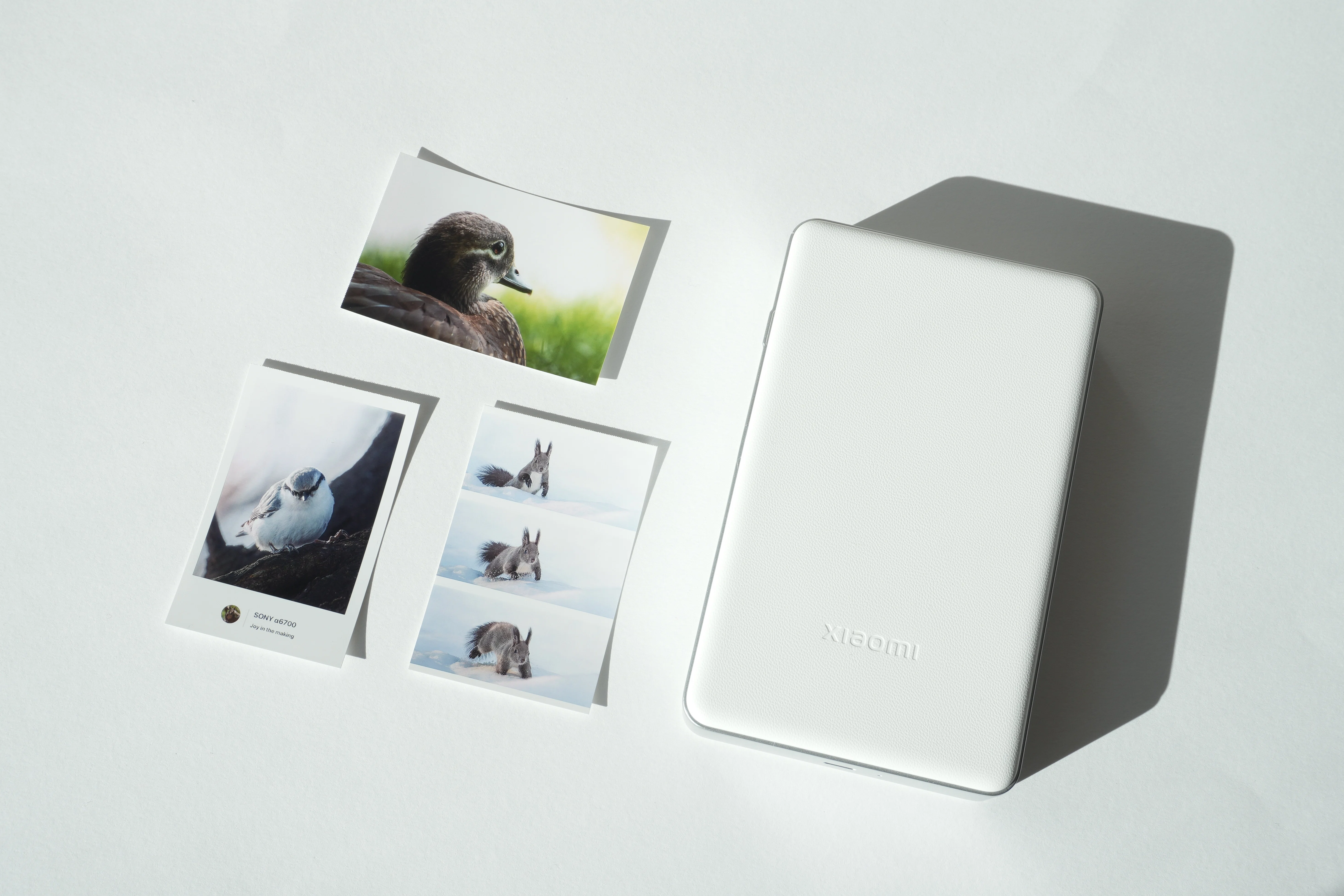 シャオミ(Xiaomi) ポータブルフォトプリンターpro本体 Xiaomi ポータブルフォトプリンター Proレビュー | ガジェット｜たぁ📷