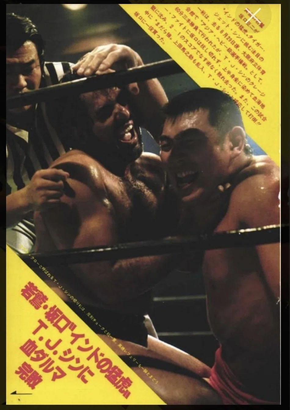 坂口征二は何故シン、アンドレ、ハンセンに勝てないのか～プロレス