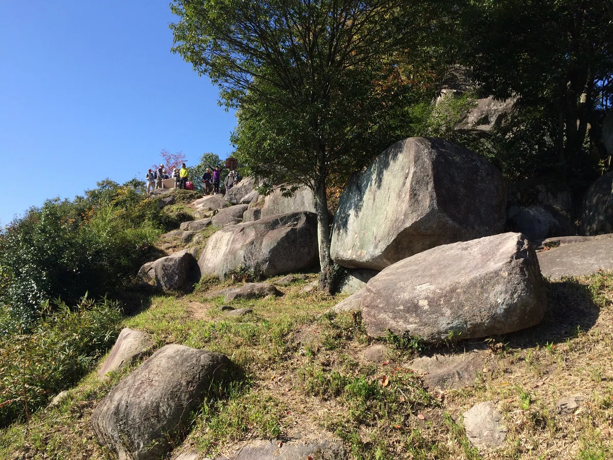 画像