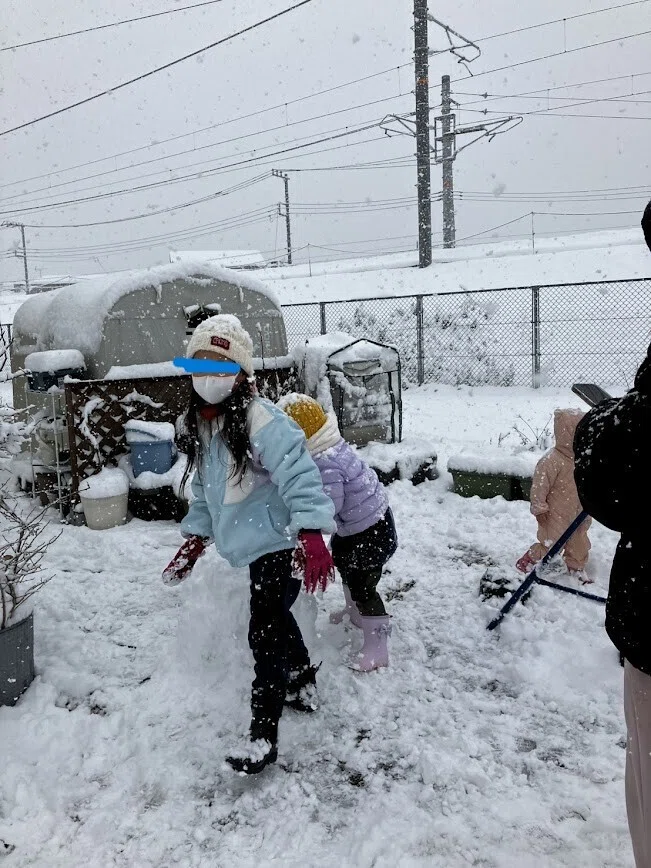 大雪の日、三浦半島から足柄上郡大井町まで帰ったら雪の境目がわかった