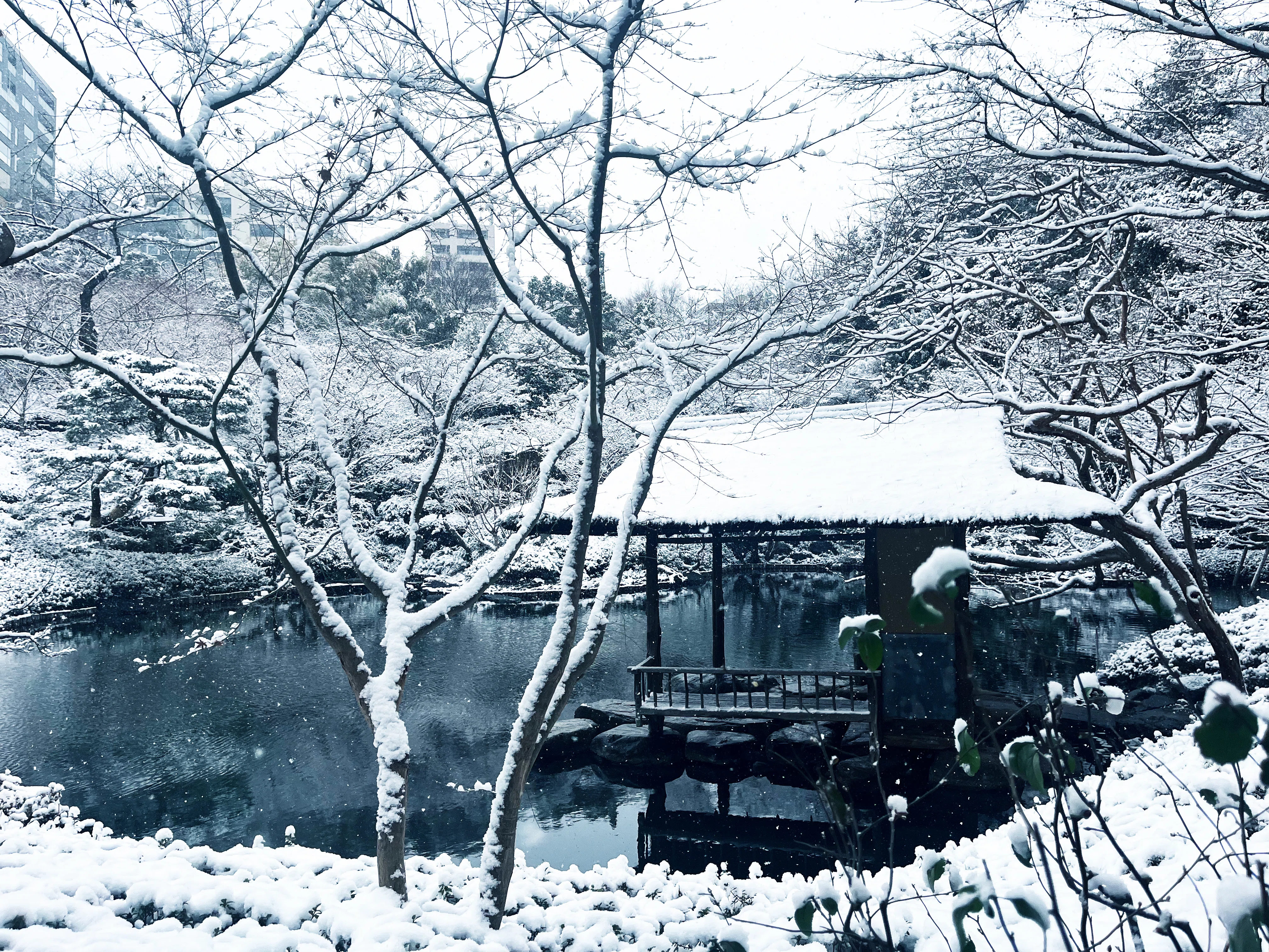 八芳園の雪景色】雪白が描く「わび・さび」の清鑑な景色｜八芳園 note
