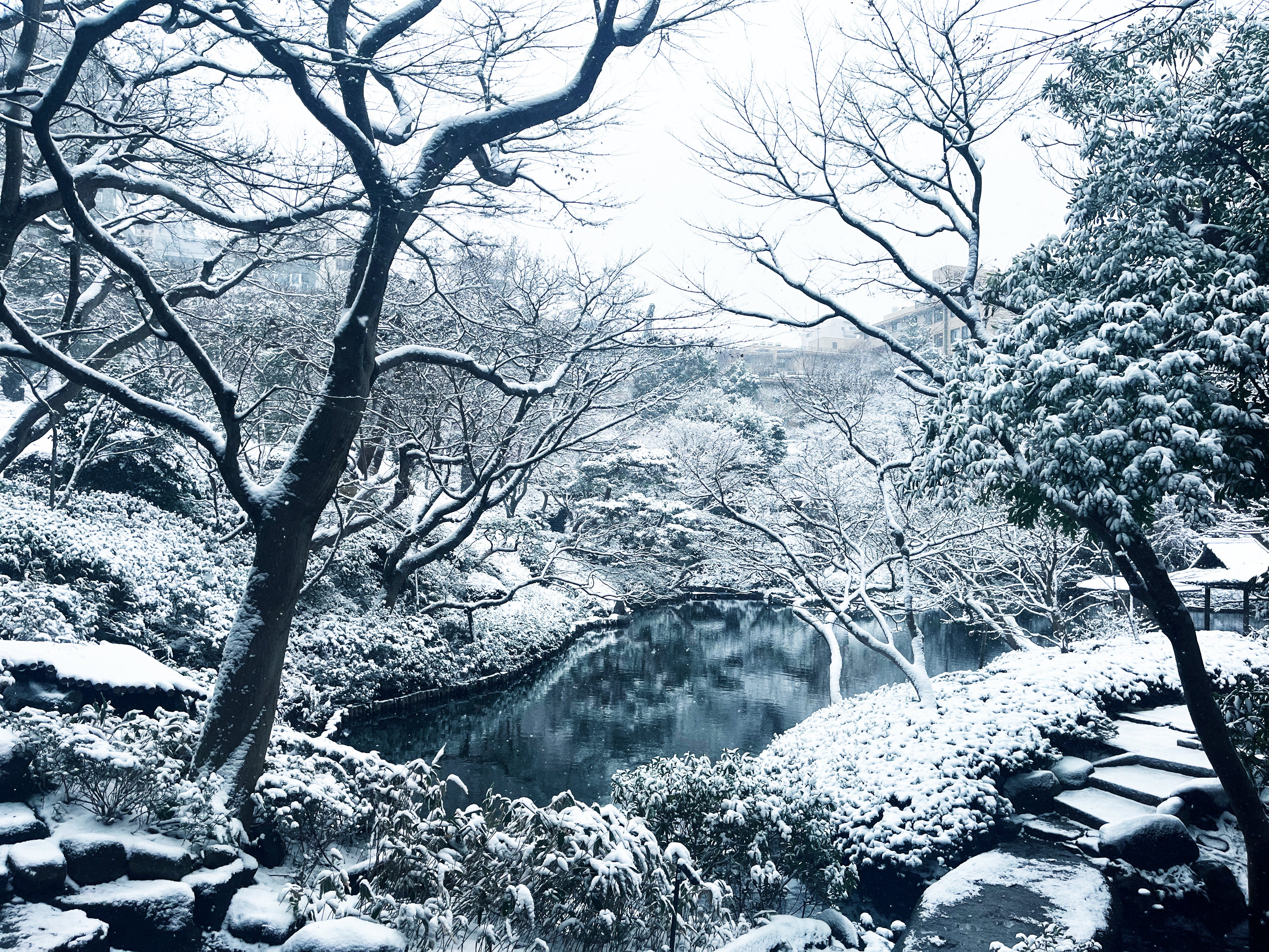 八芳園の雪景色】雪白が描く「わび・さび」の清鑑な景色｜八芳園 note