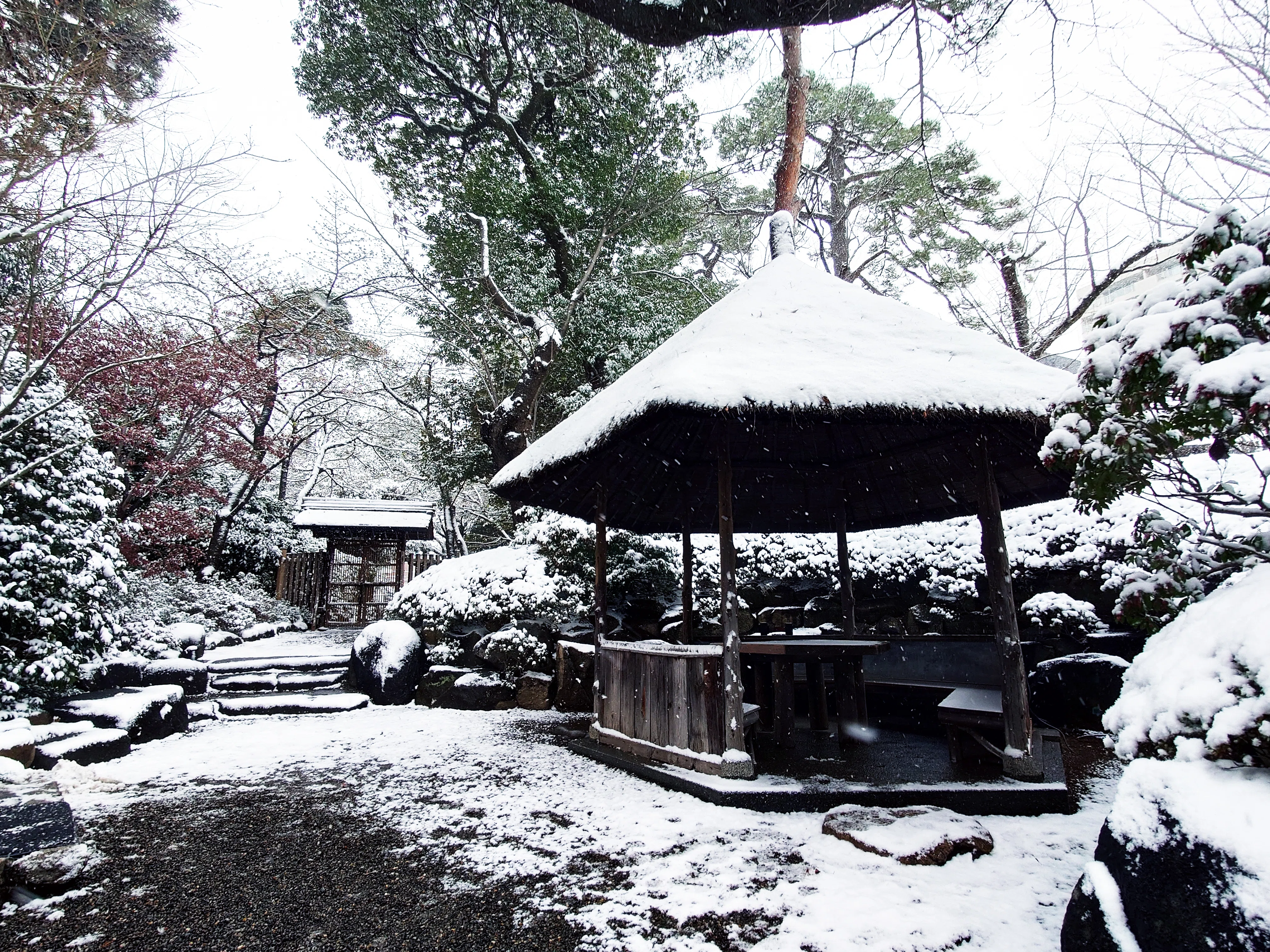 八芳園の雪景色】雪白が描く「わび・さび」の清鑑な景色｜八芳園 note