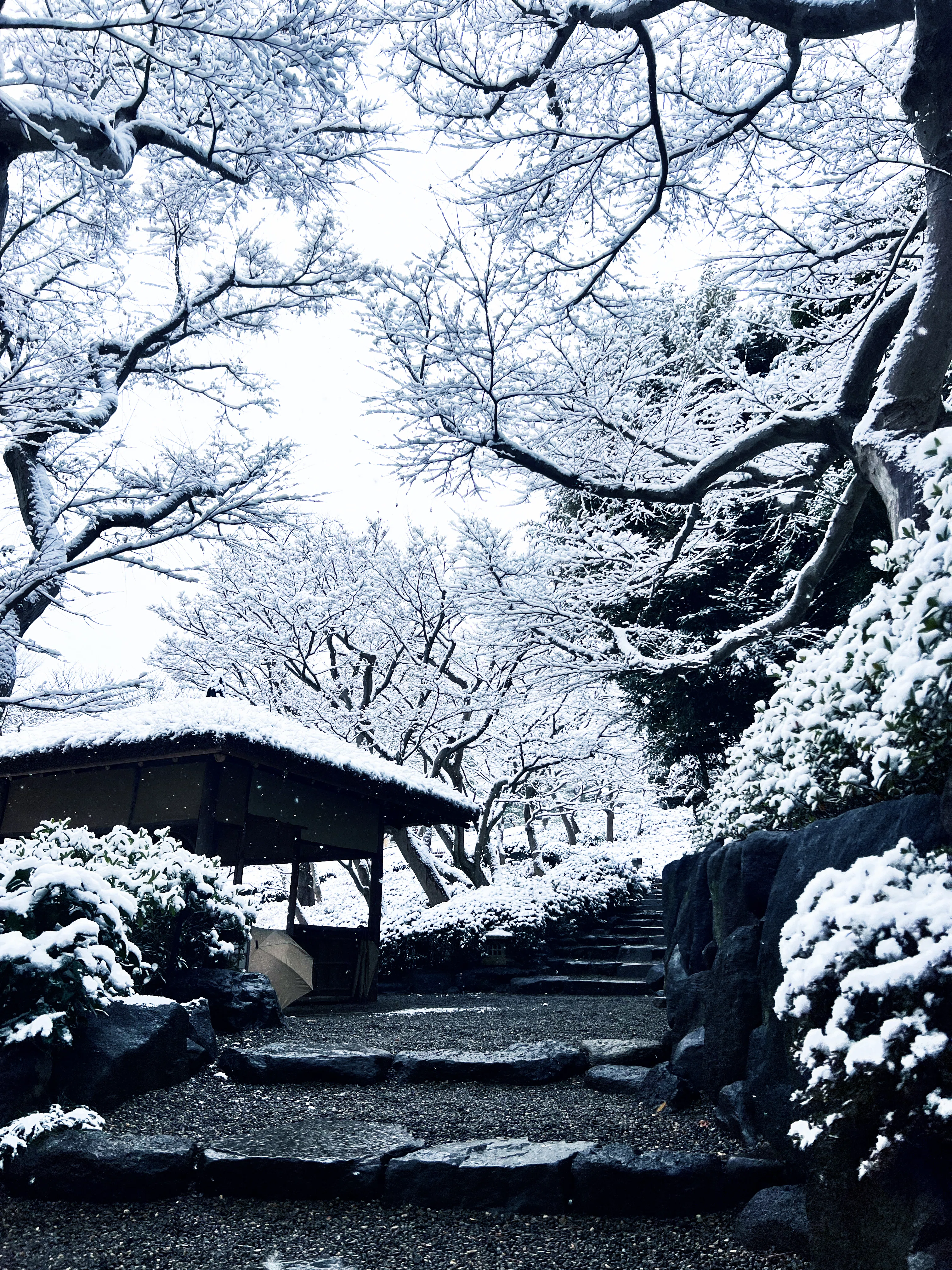 八芳園の雪景色】雪白が描く「わび・さび」の清鑑な景色｜八芳園 note