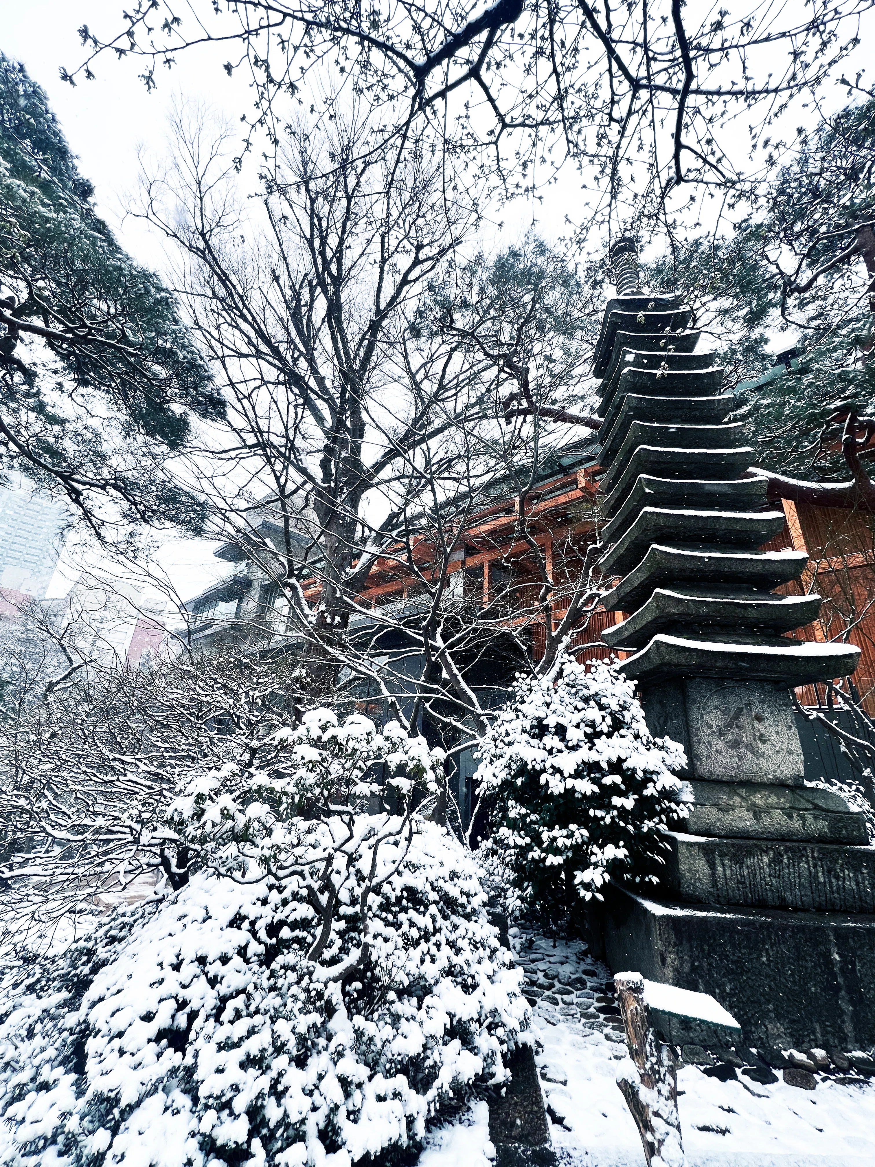 八芳園の雪景色】雪白が描く「わび・さび」の清鑑な景色｜八芳園 note