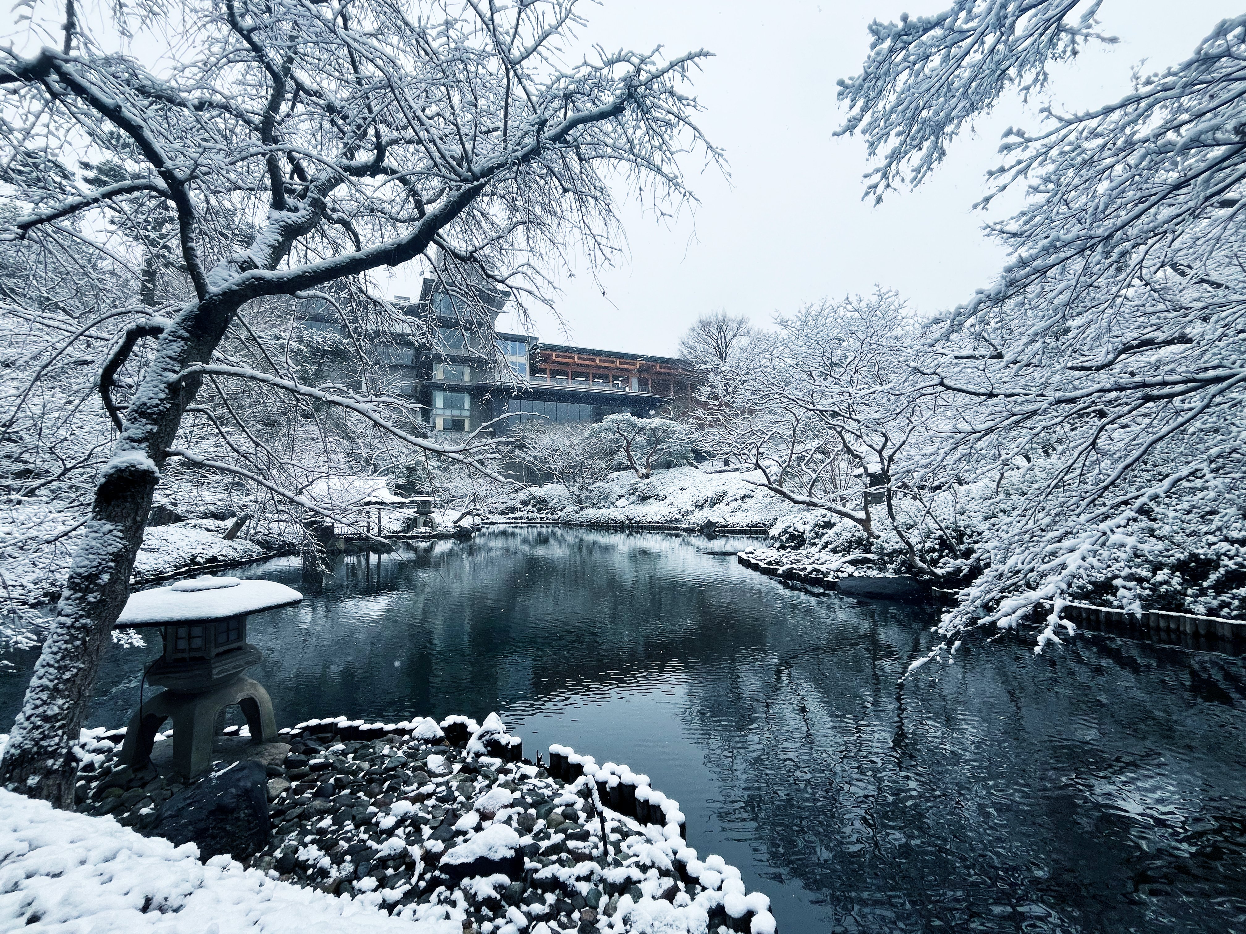 八芳園の雪景色】雪白が描く「わび・さび」の清鑑な景色｜八芳園 note