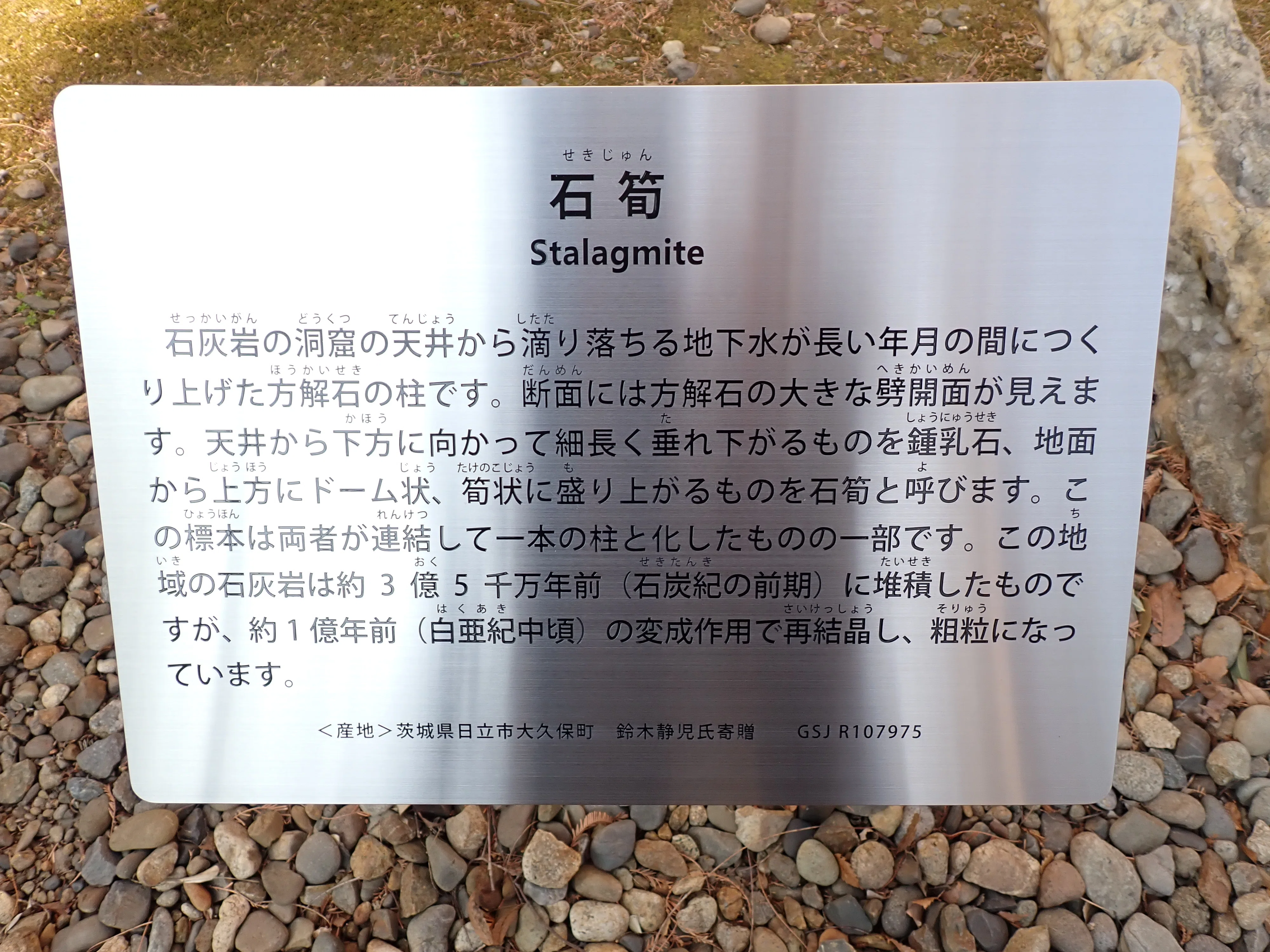 地質標本館行ってみたレポ！｜七二菓子