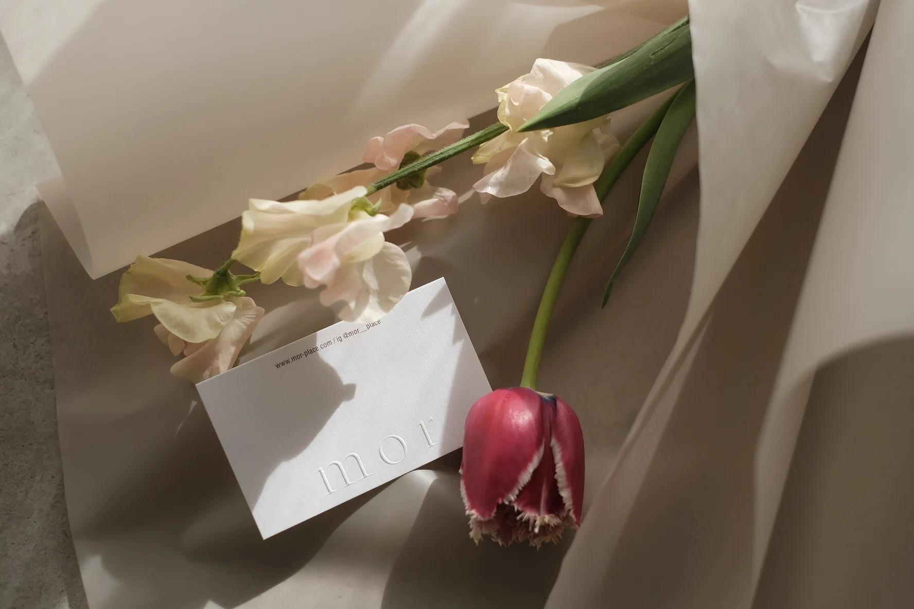 一期一会の出会いを。陶芸家 中園晋作さんとうつわの体験会を実施し