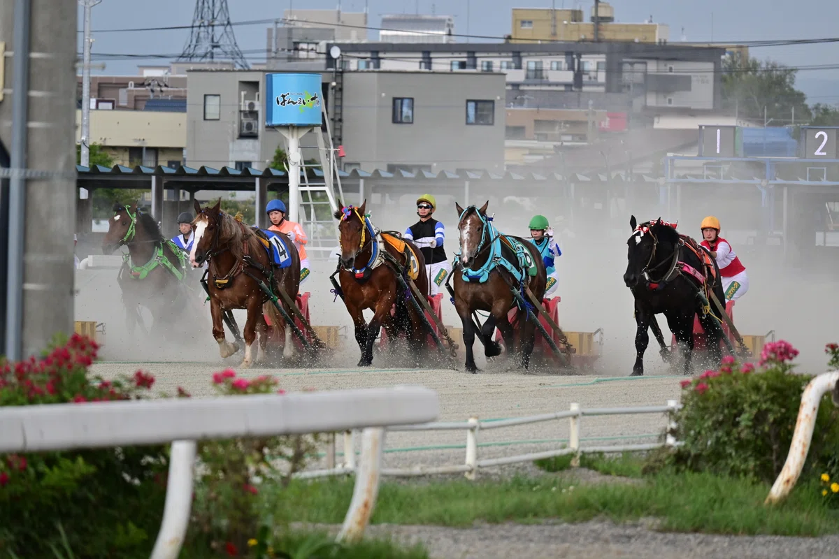 KFJ Blog, Introduction to Japan. Vol.2: Hokkaido｜KFJ