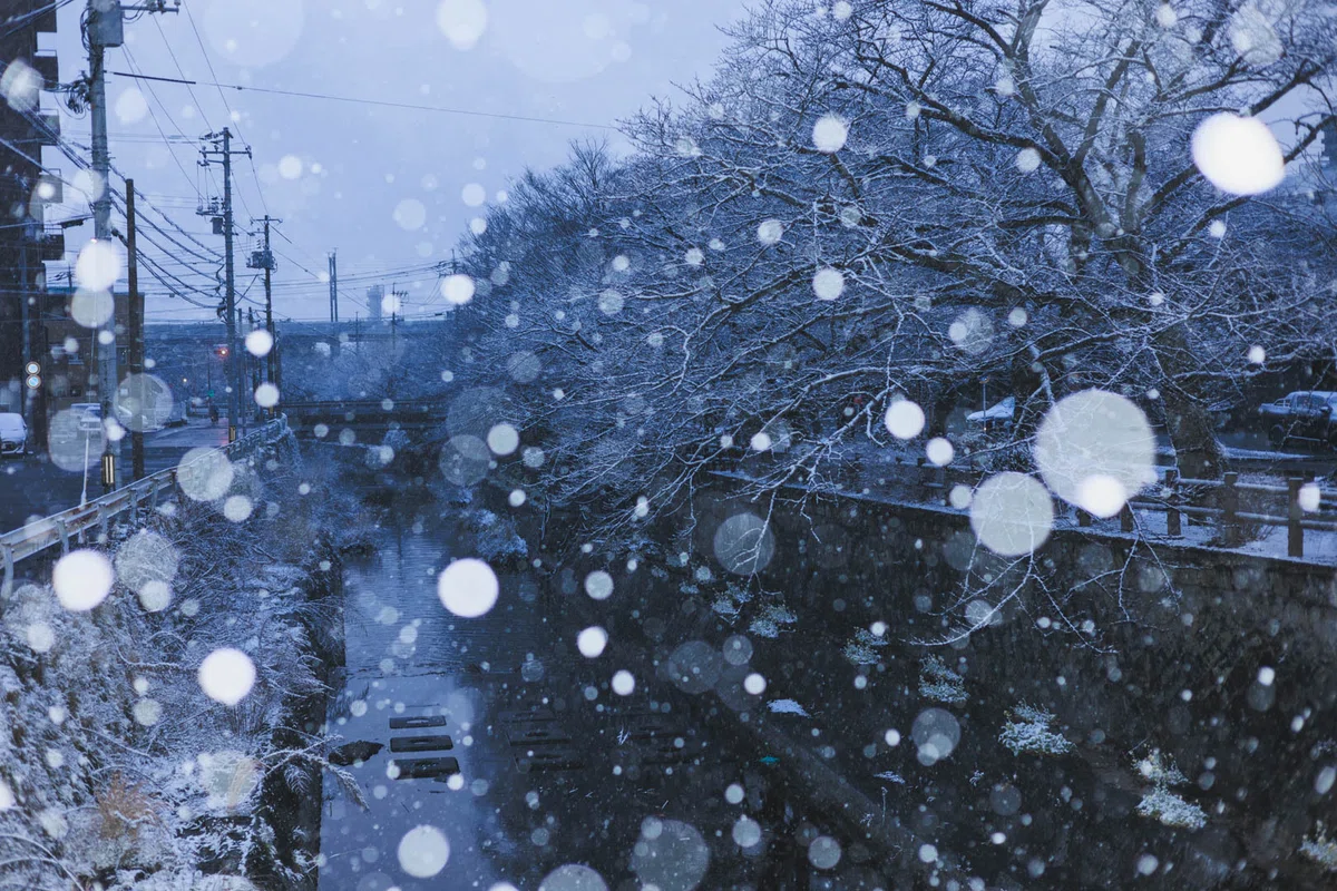 山口県周南市「東川緑地公園」にて、雪の日に撮った写真。雪が玉ボケになるように工夫しています。