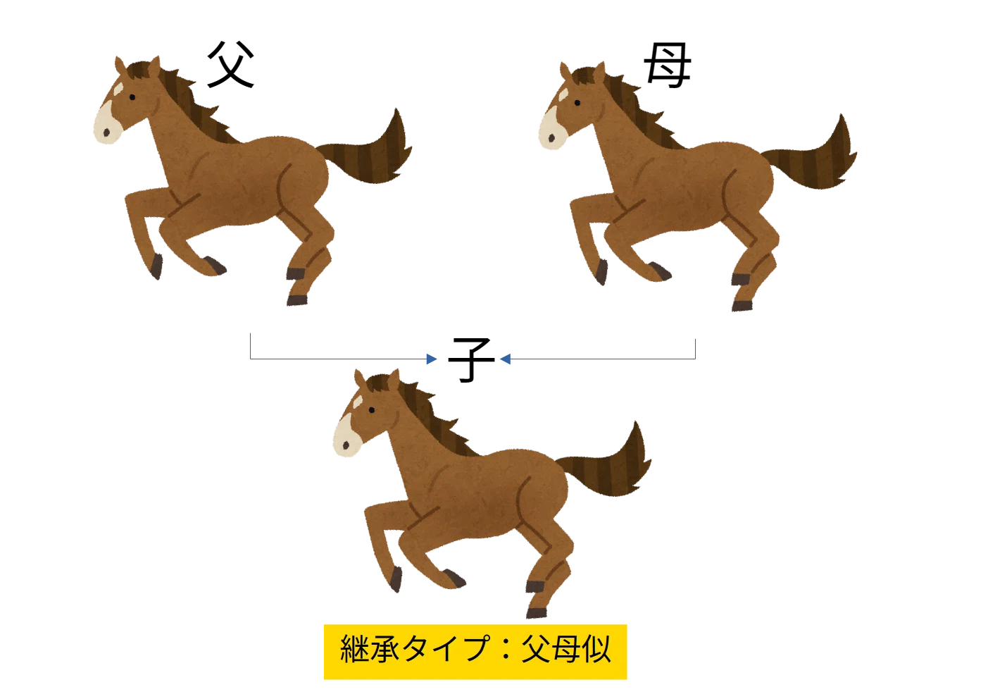 4万頭の結論】毛色の遺伝で「走る馬」は見抜けるか？獲得賞金から