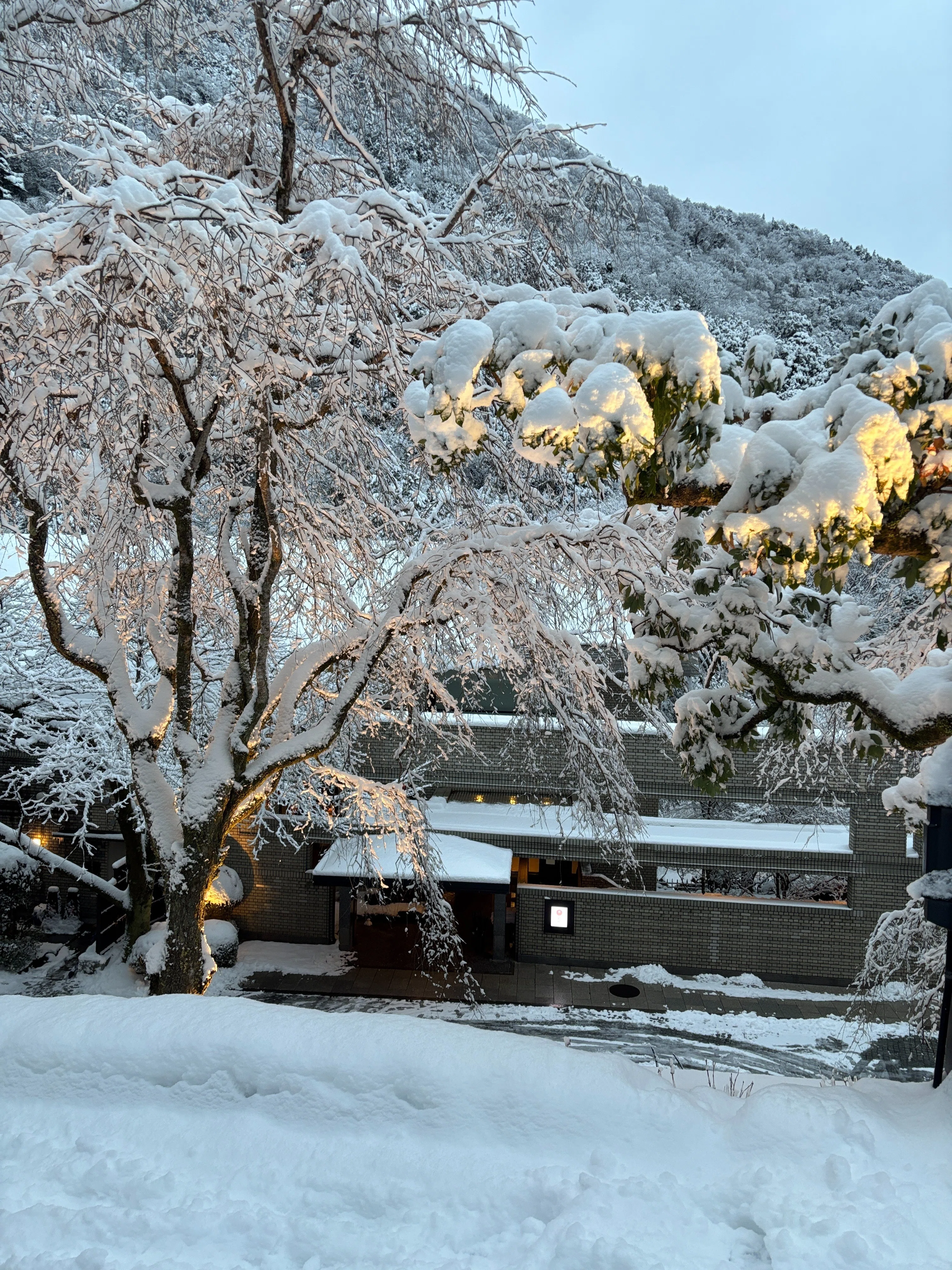 超レア！真っ白な雪景色に染まった界箱根｜さな｜星野リゾート