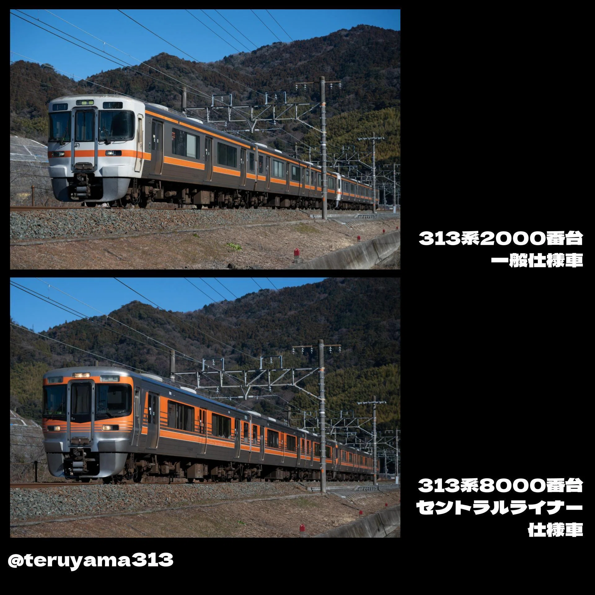 313系を使用した特急が走るらしい。｜てるやま