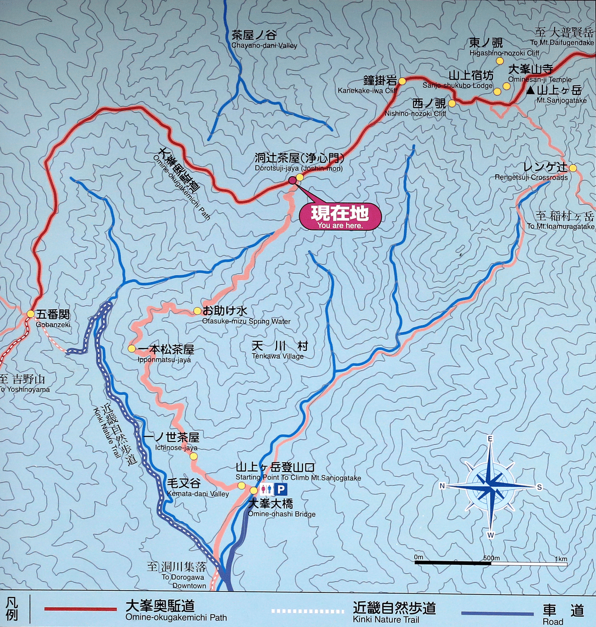 245．修験道場 山上ヶ岳のミツバツツジ｜sasayan